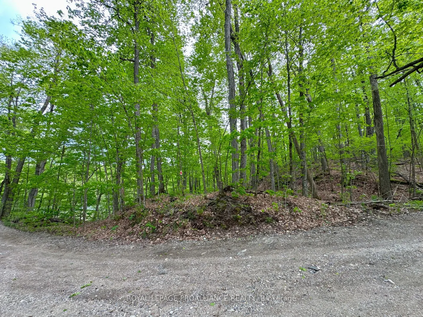 0 Granite Terrace Lane