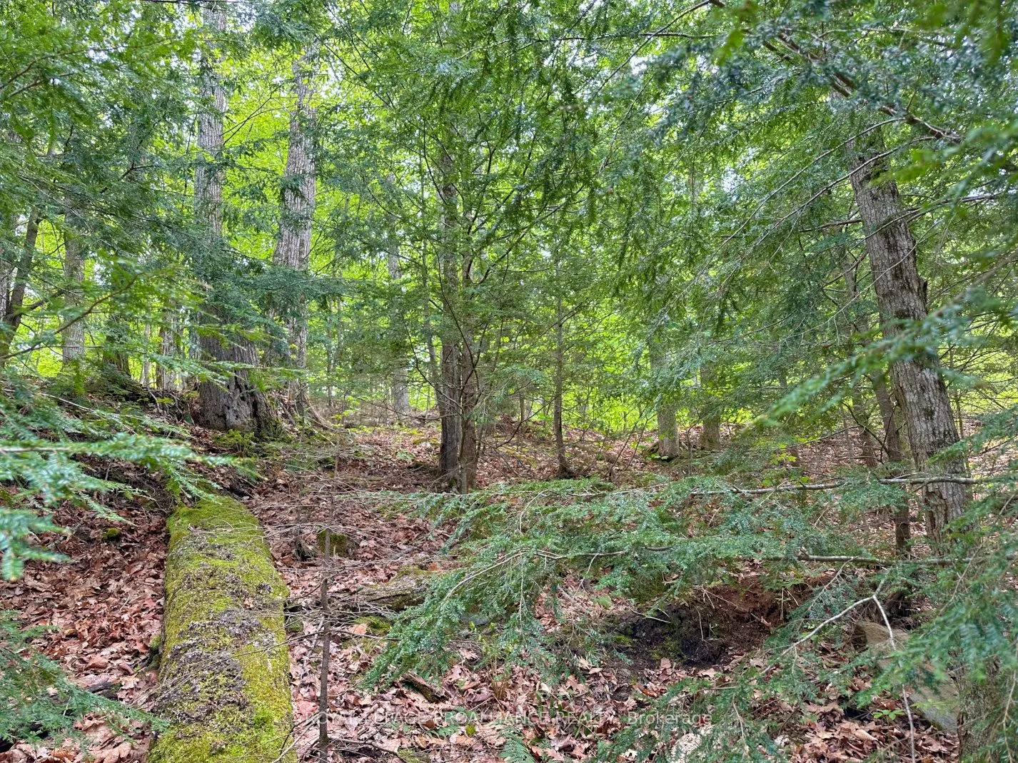 0 Granite Terrace Lane