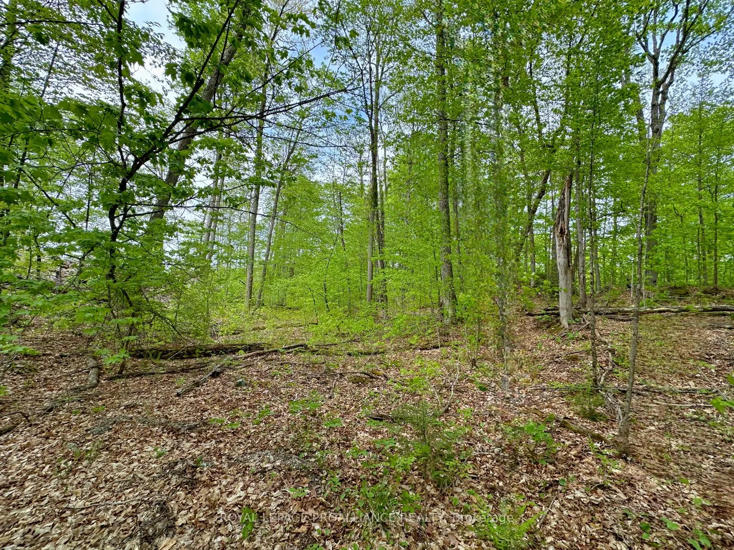0 Granite Terrace Lane