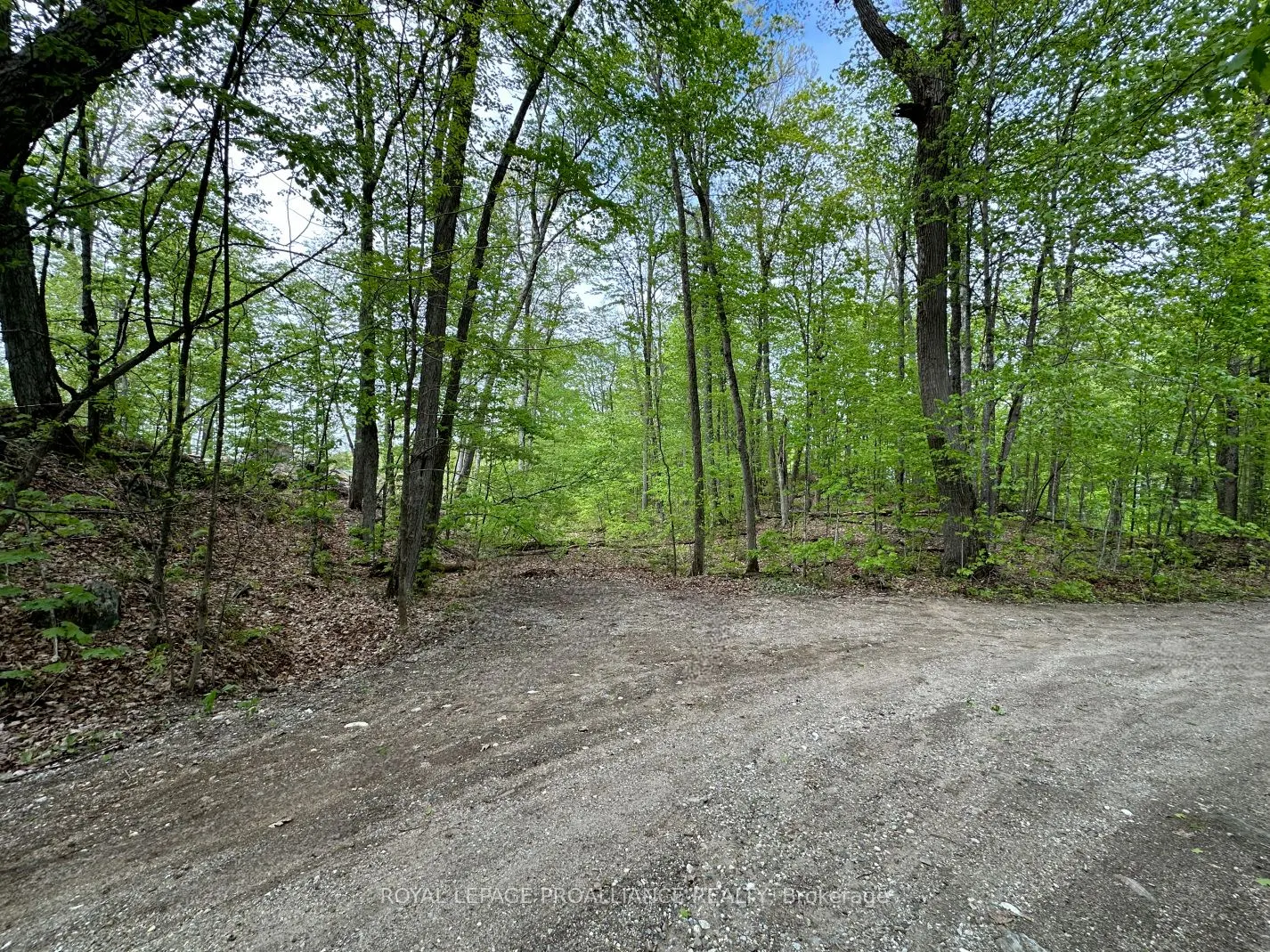 0 Granite Terrace Lane