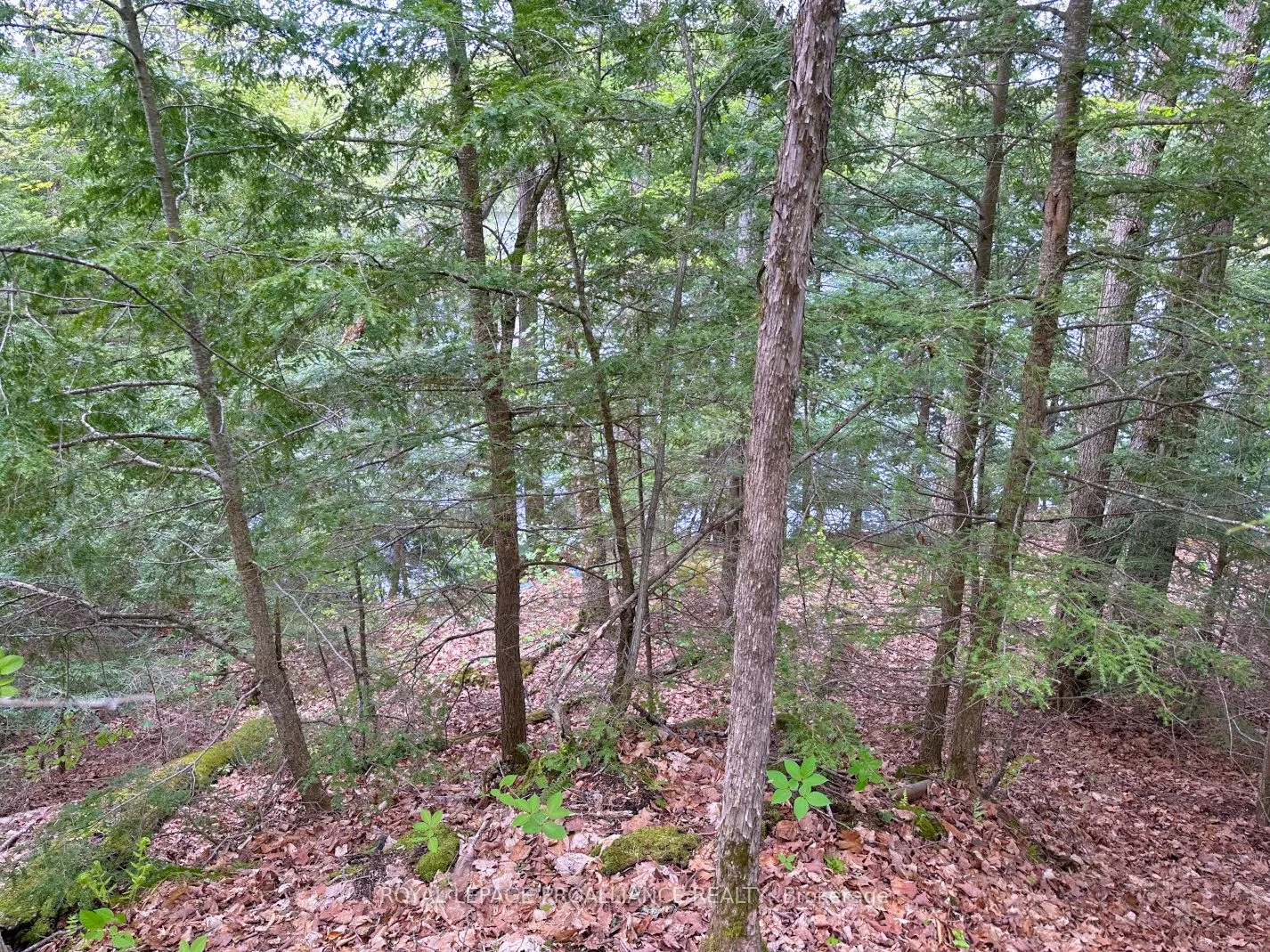 0 Granite Terrace Lane