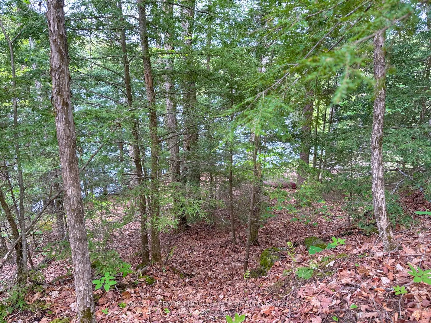 0 Granite Terrace Lane