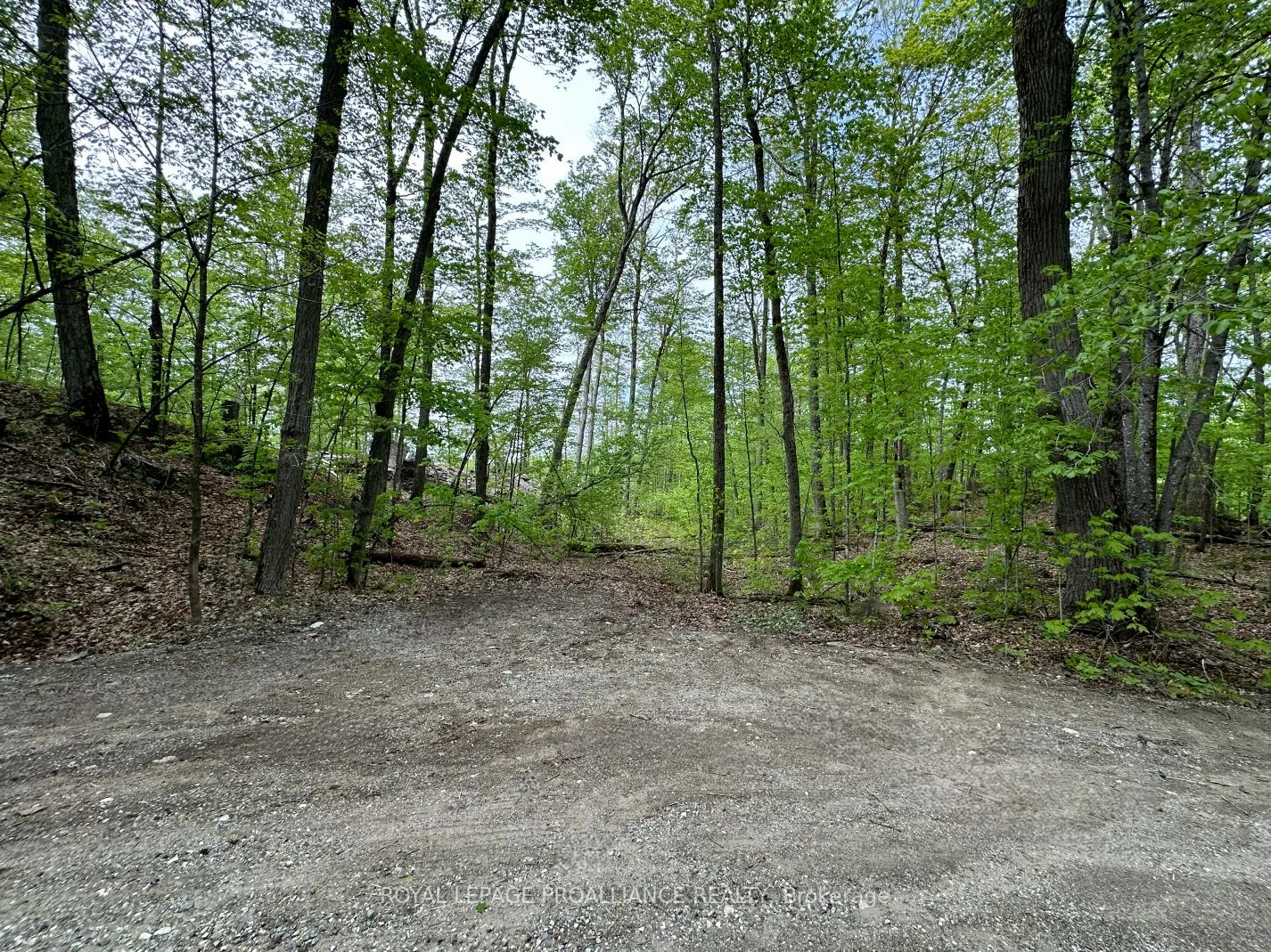 0 Granite Terrace Lane