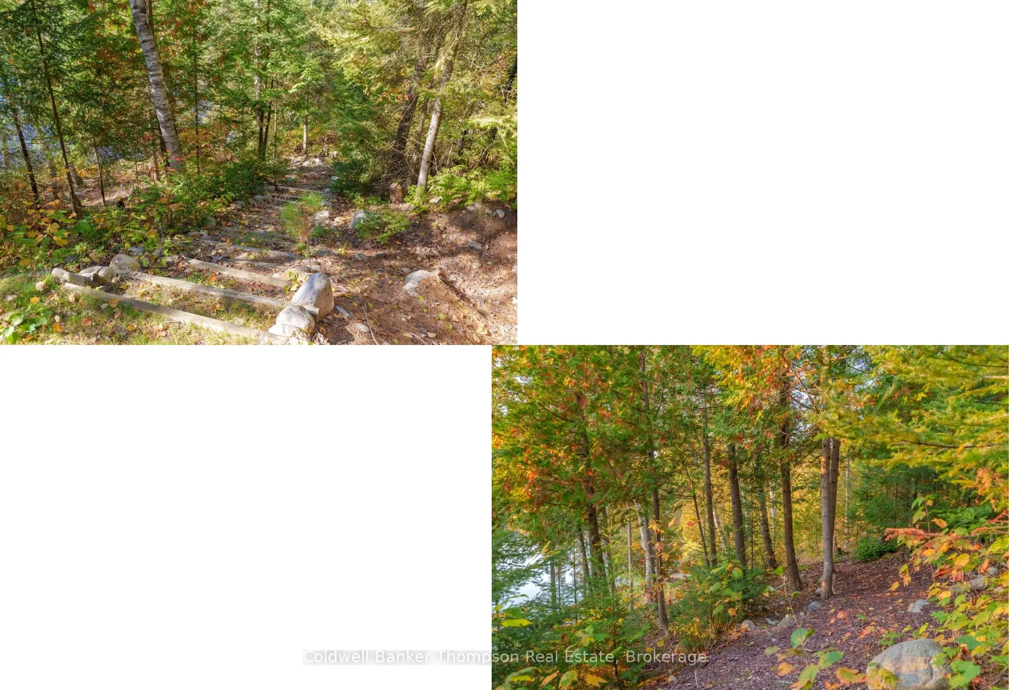 108 Cedar Lane