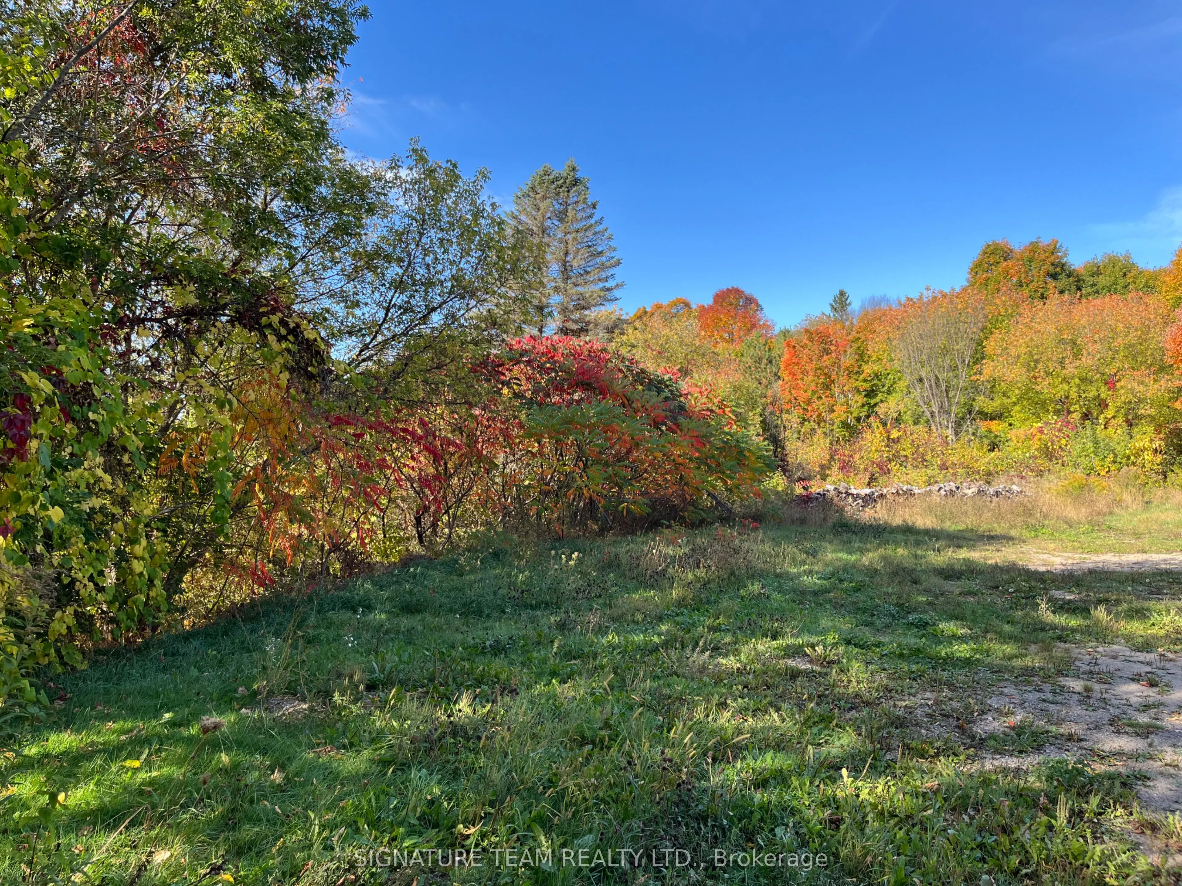292 Bonnechere Street W