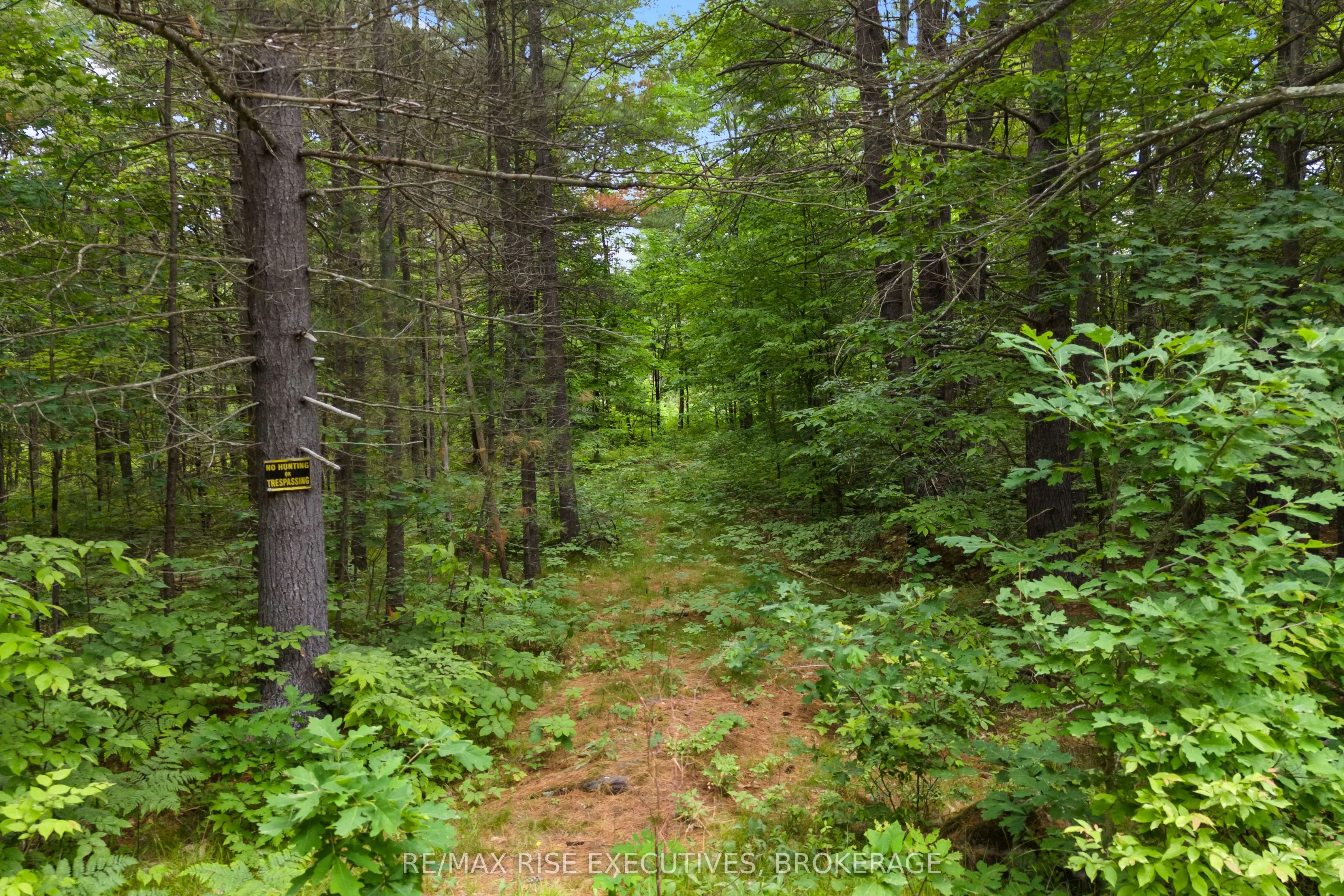 Lot 16 Echo Lake Road