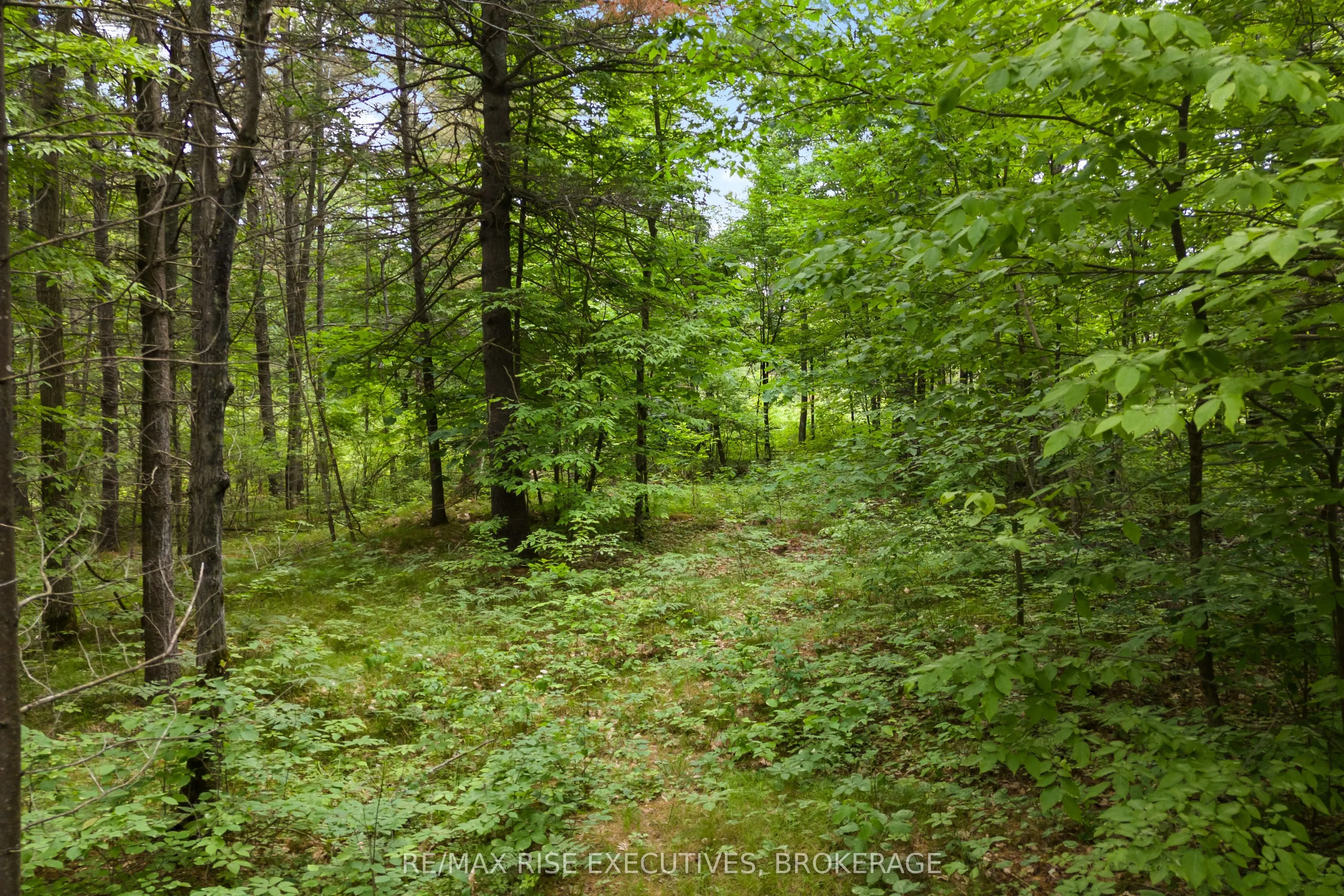 Lot 16 Echo Lake Road