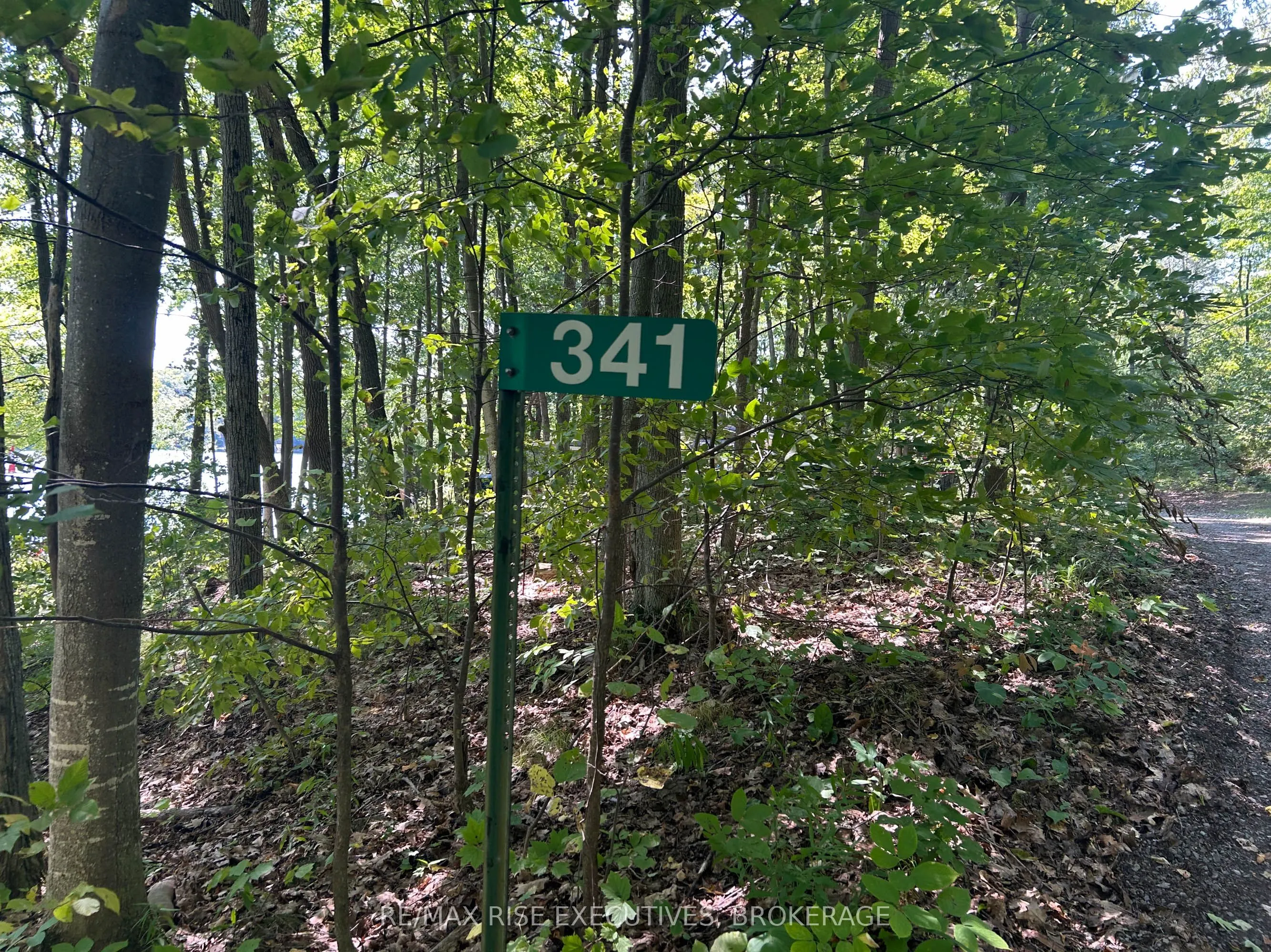 341 Steve Babcock Lane
