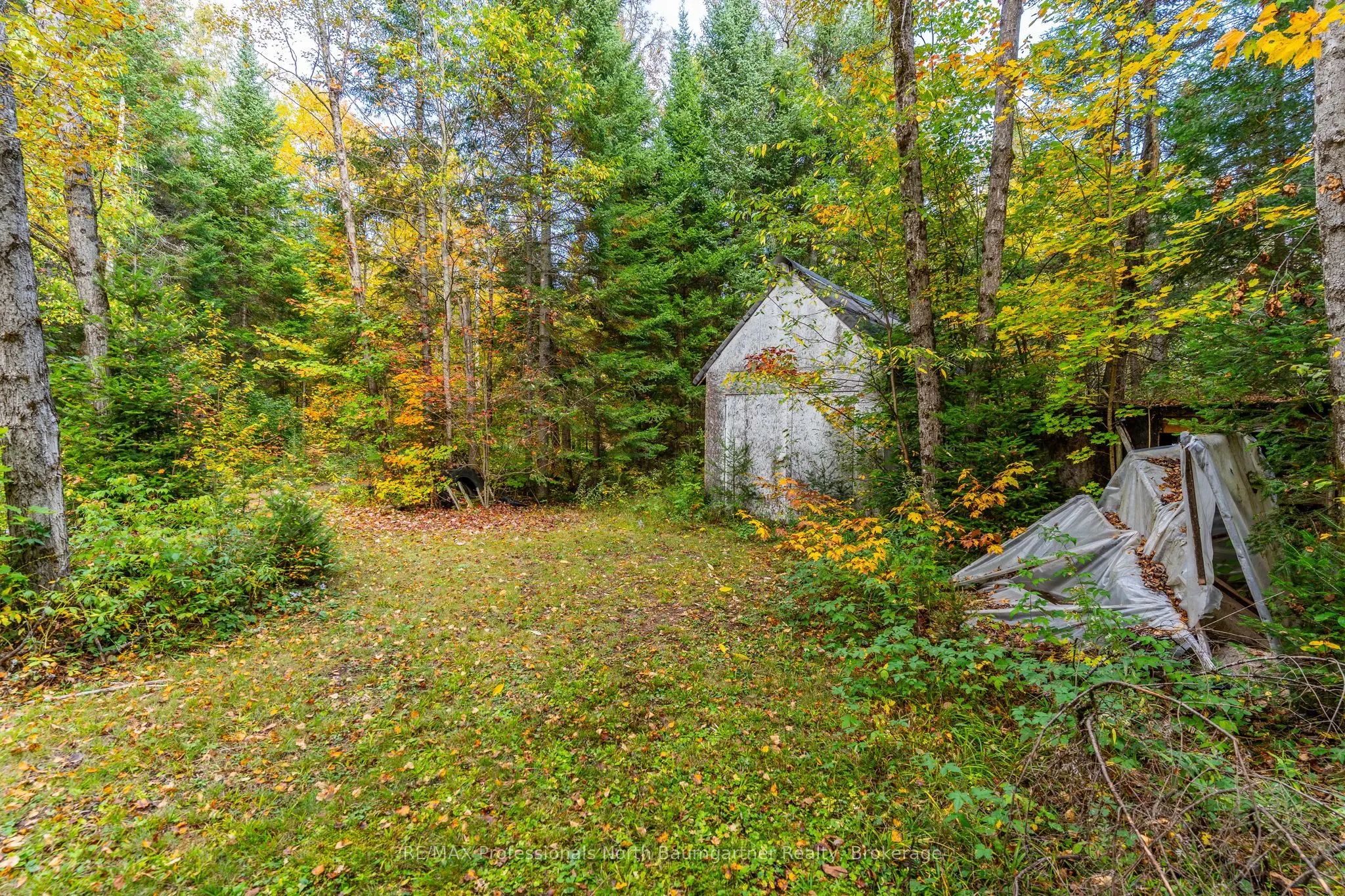 1099 Penzance Trail