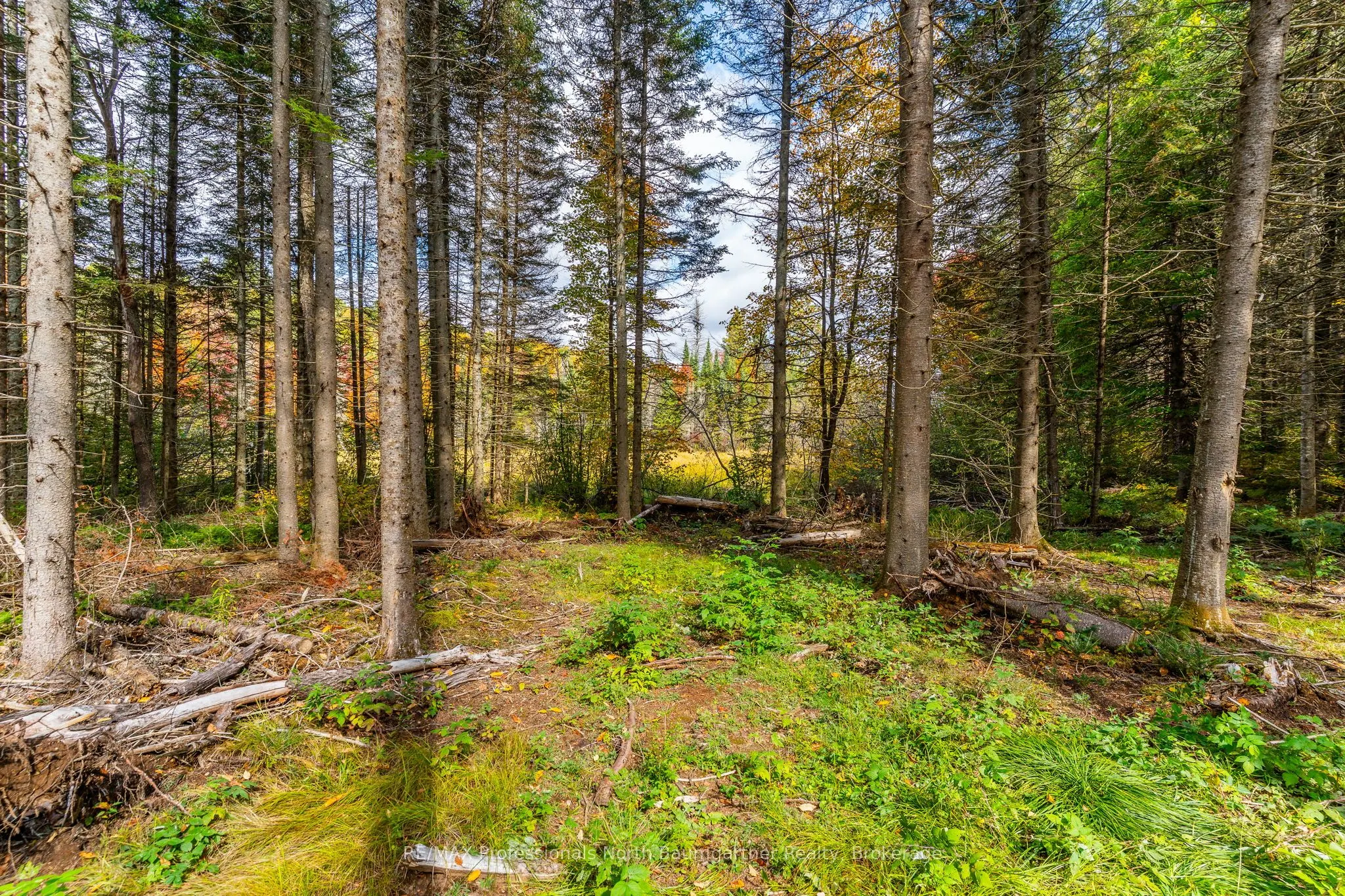 1099 Penzance Trail