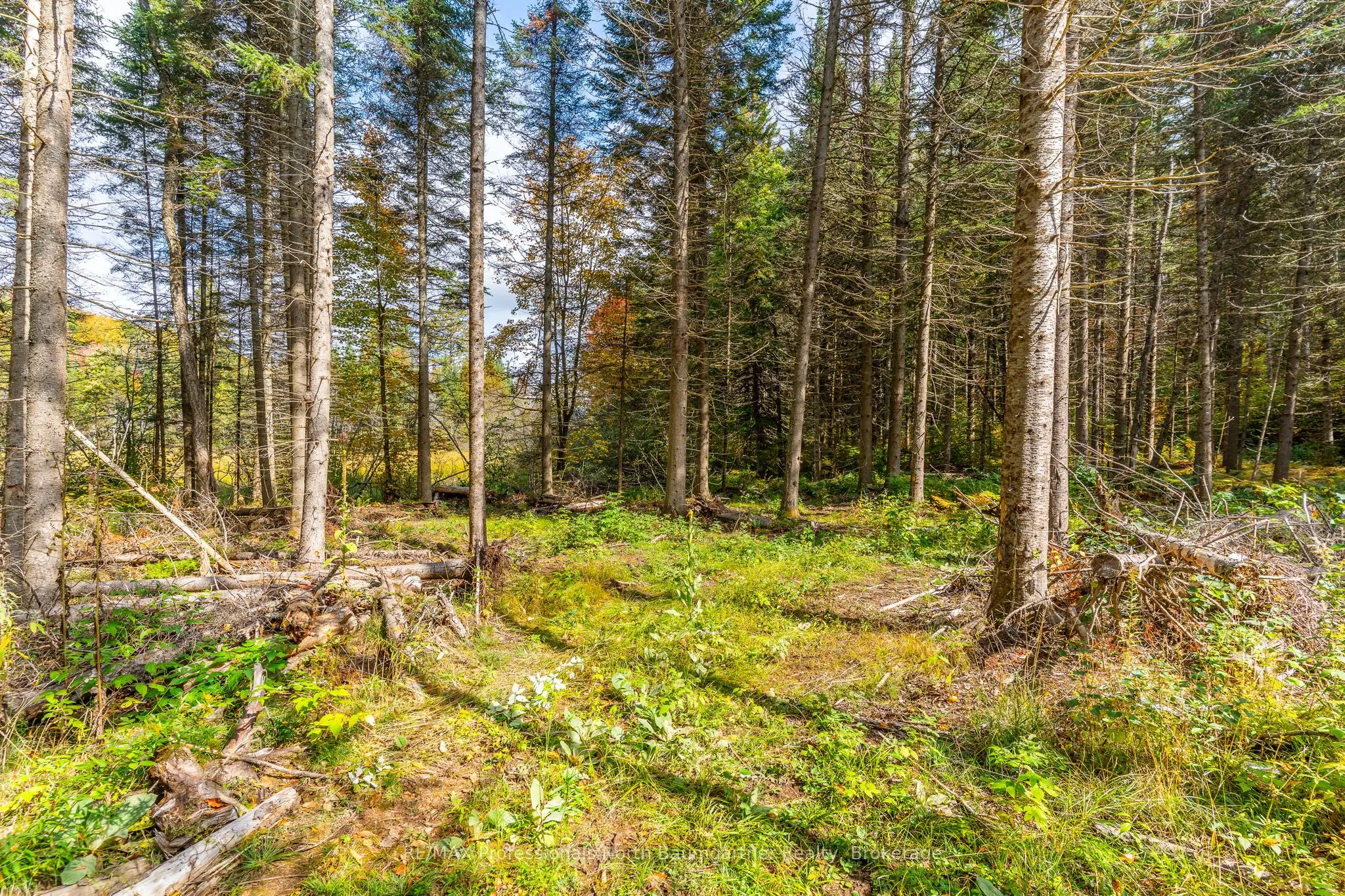 1099 Penzance Trail