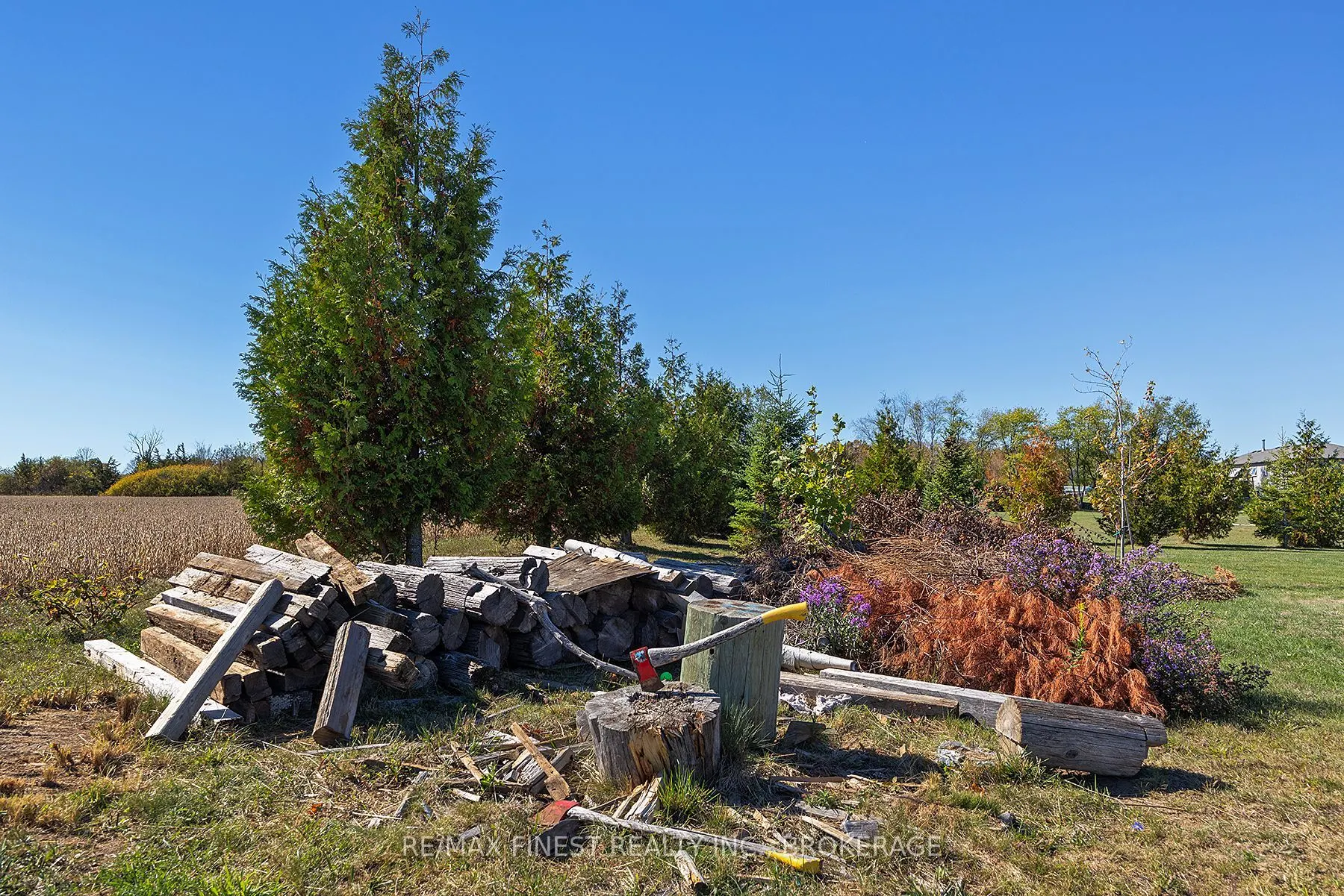 3775 Greenfield Road