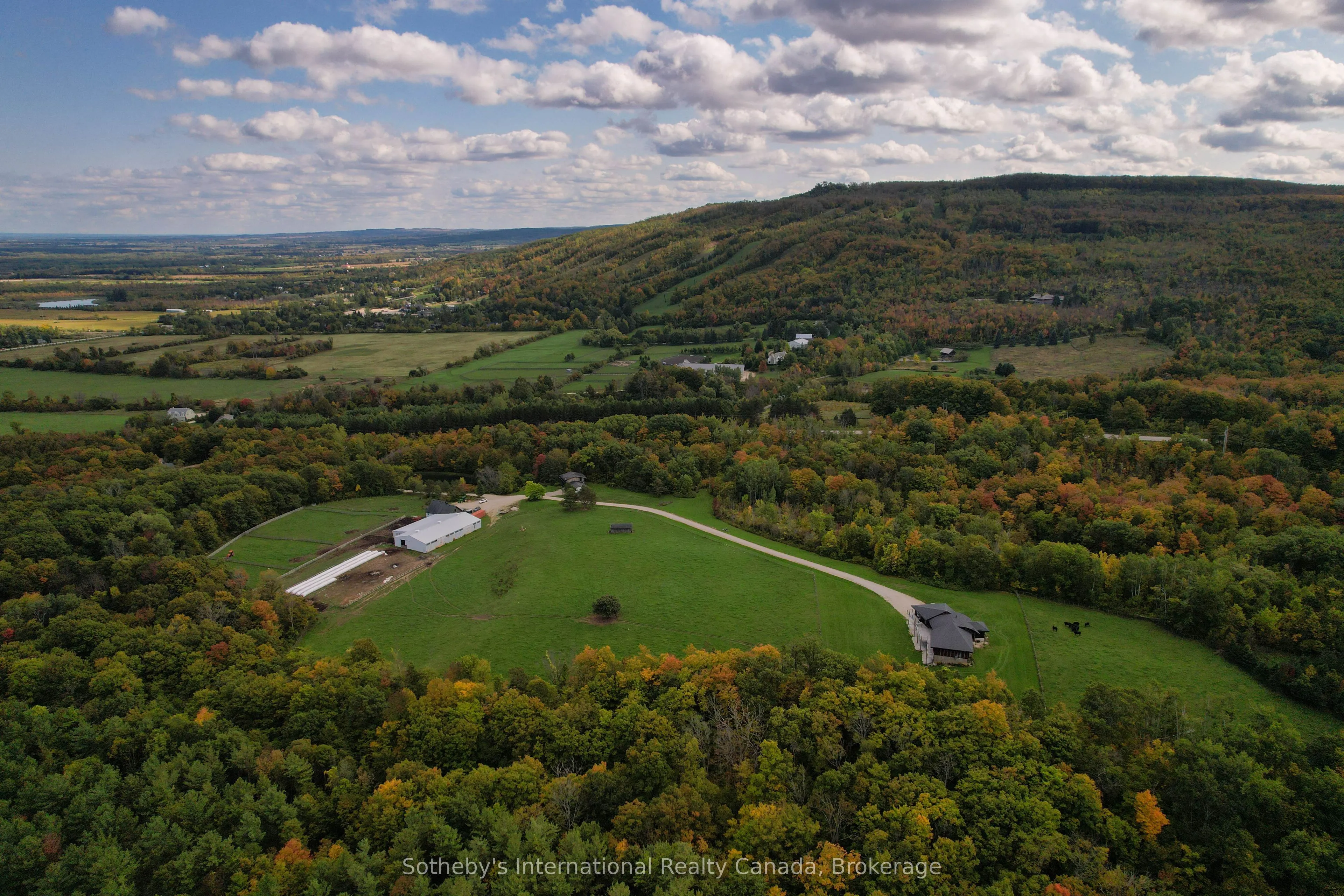 589903 Grey Road 19