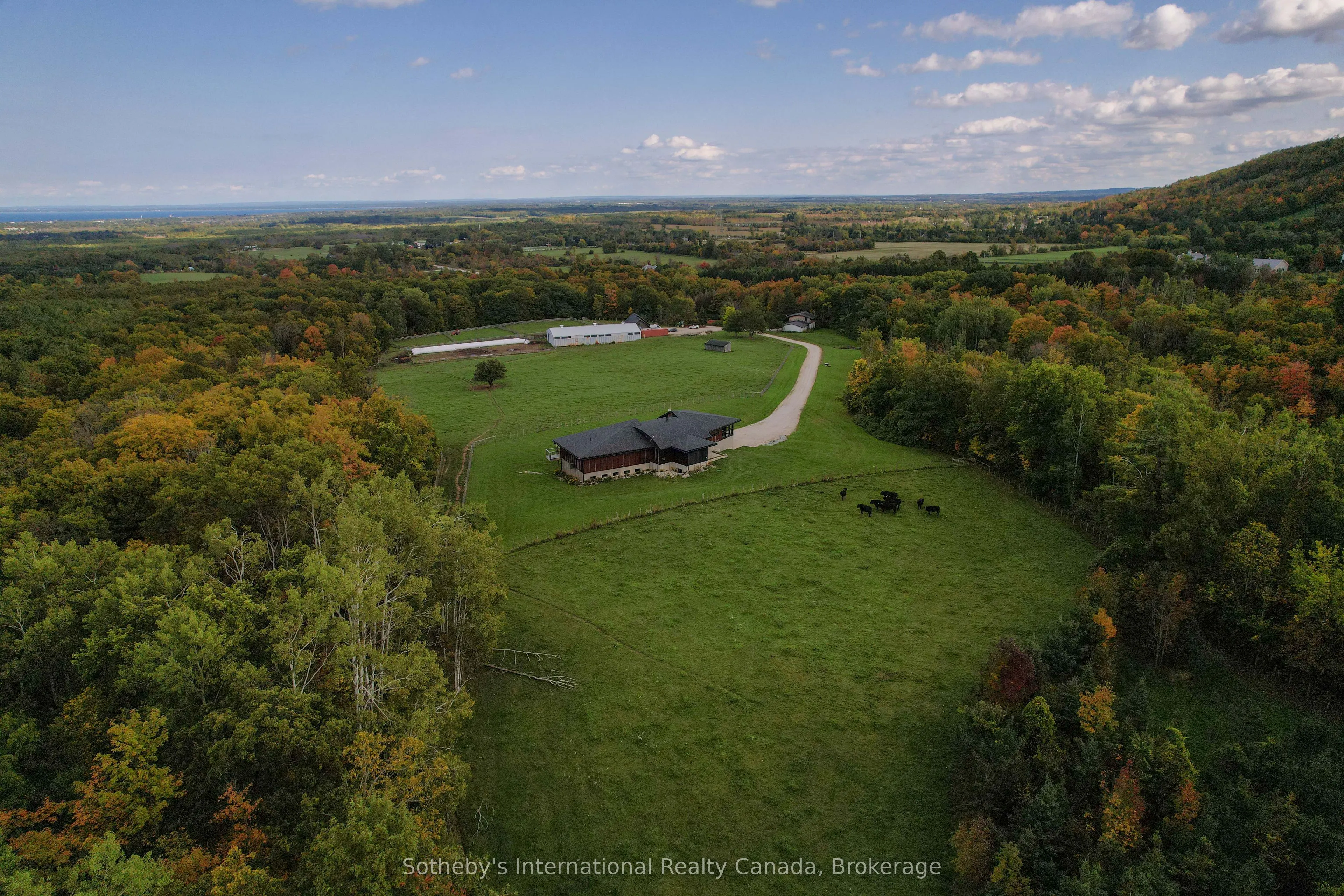 589903 Grey Road 19