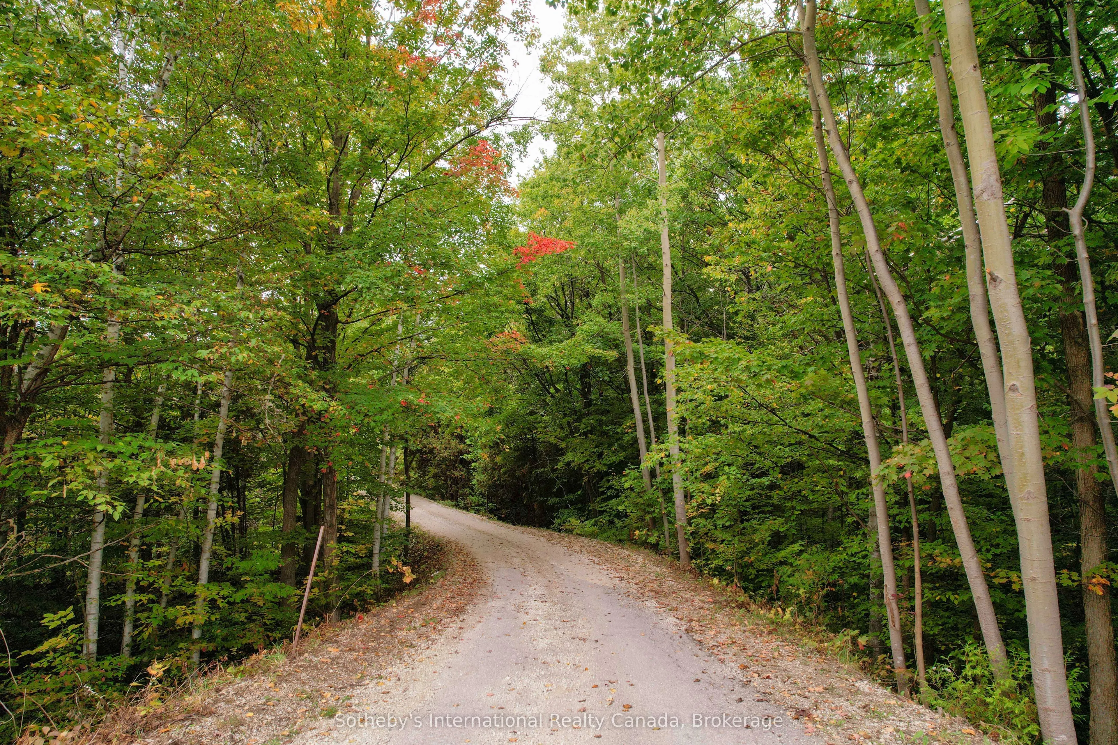 589903 Grey Road 19
