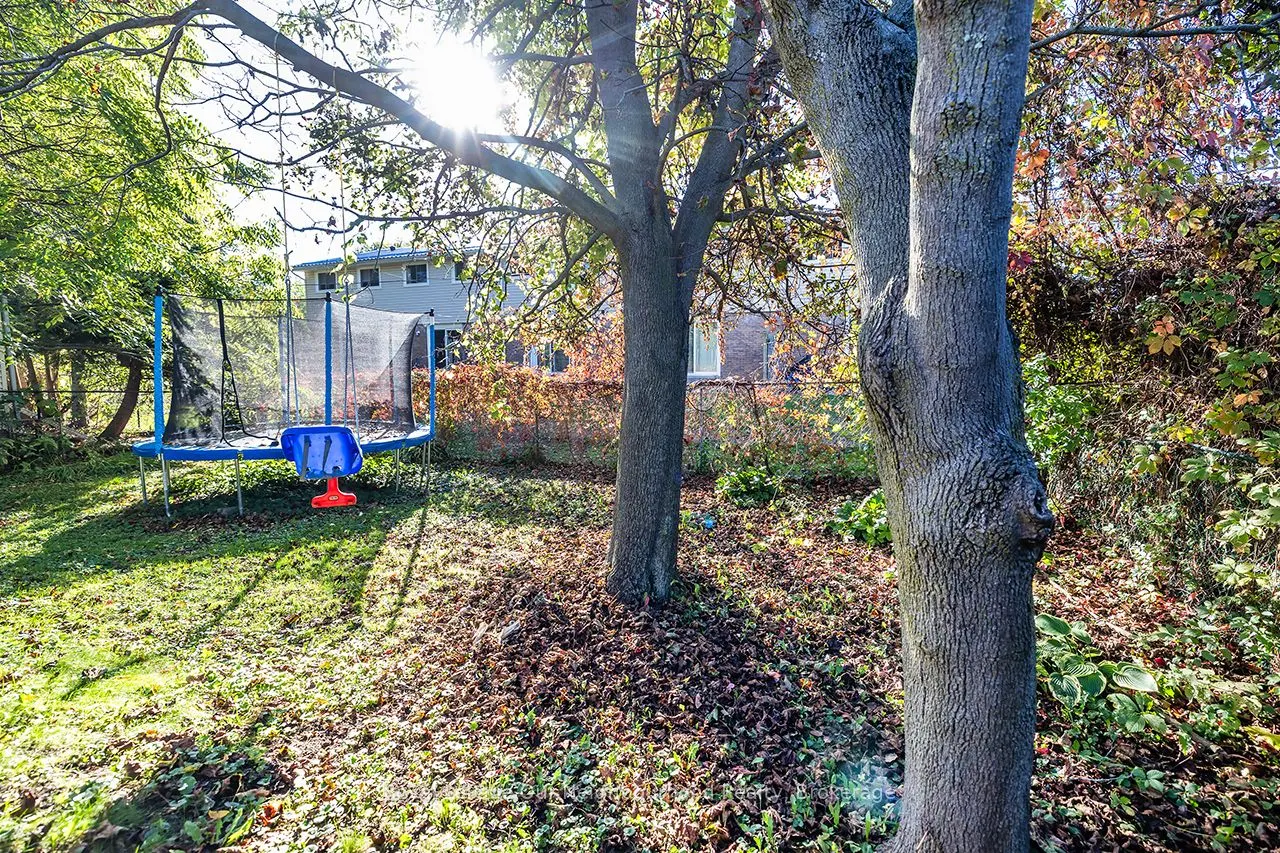 531 Shirley Street