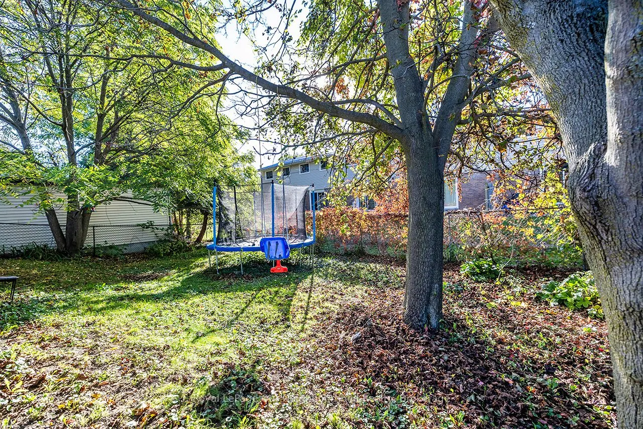 531 Shirley Street