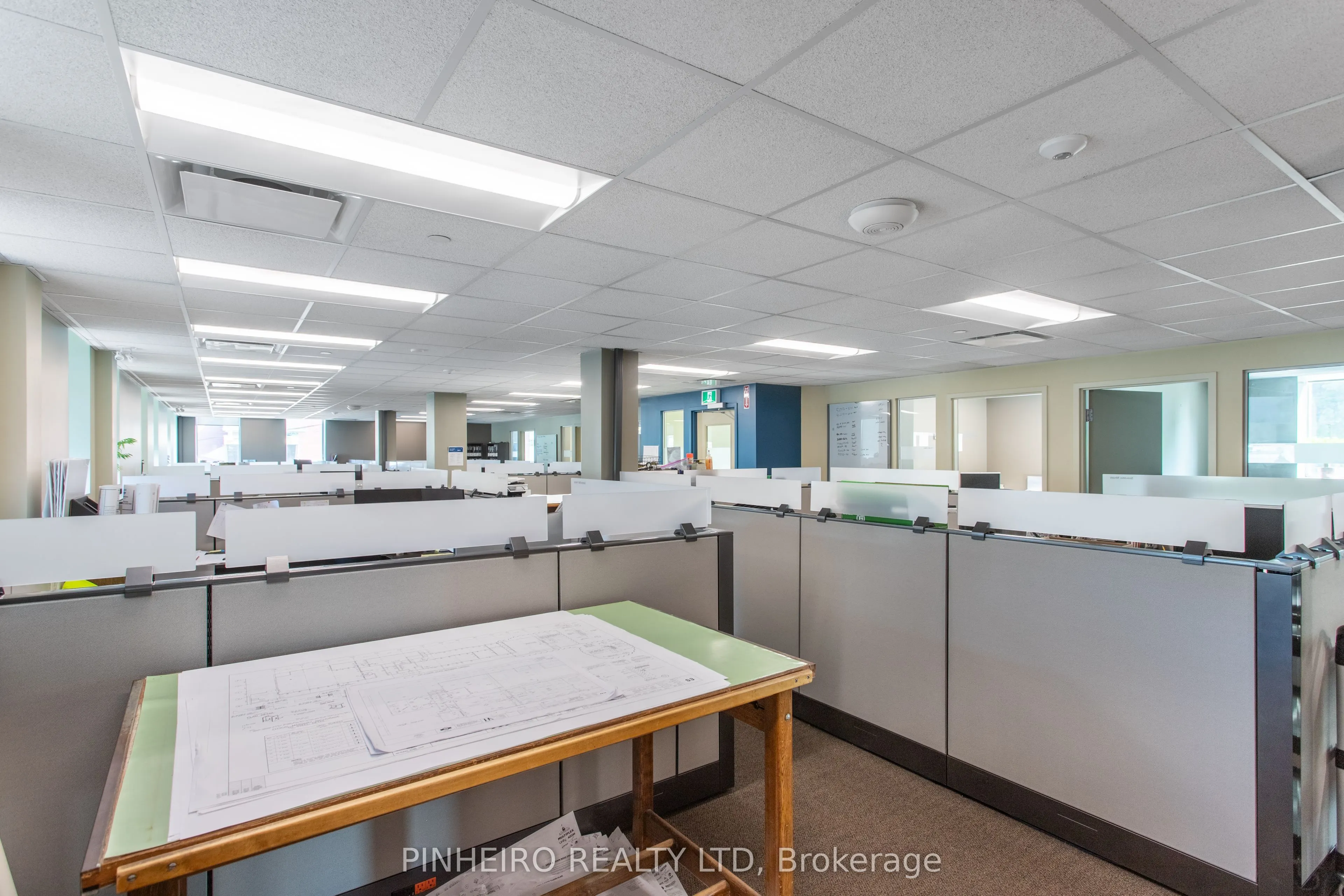 123 St George Street, #101