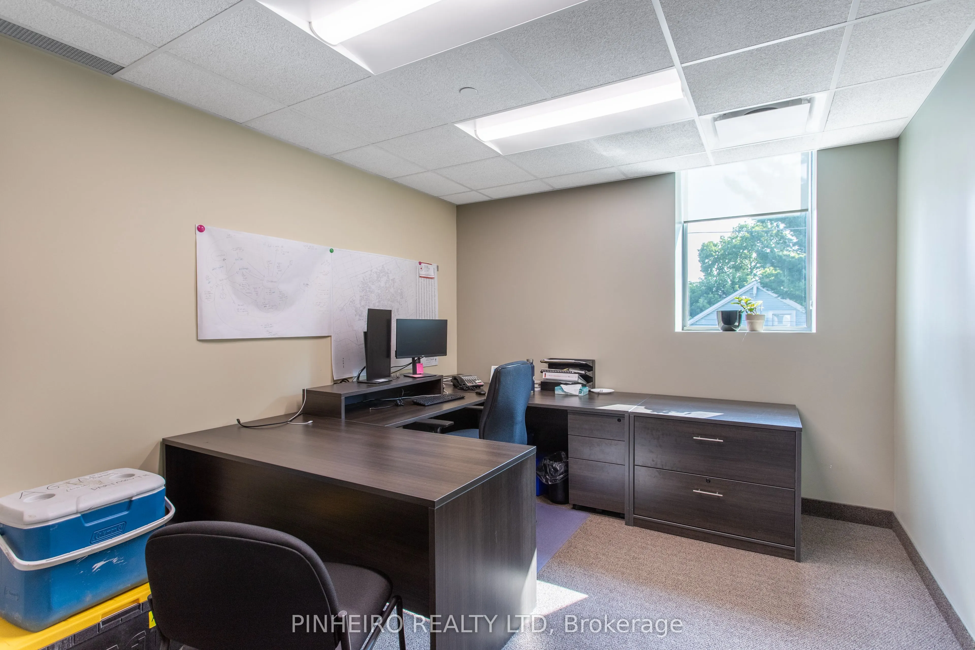 123 St George Street, #101