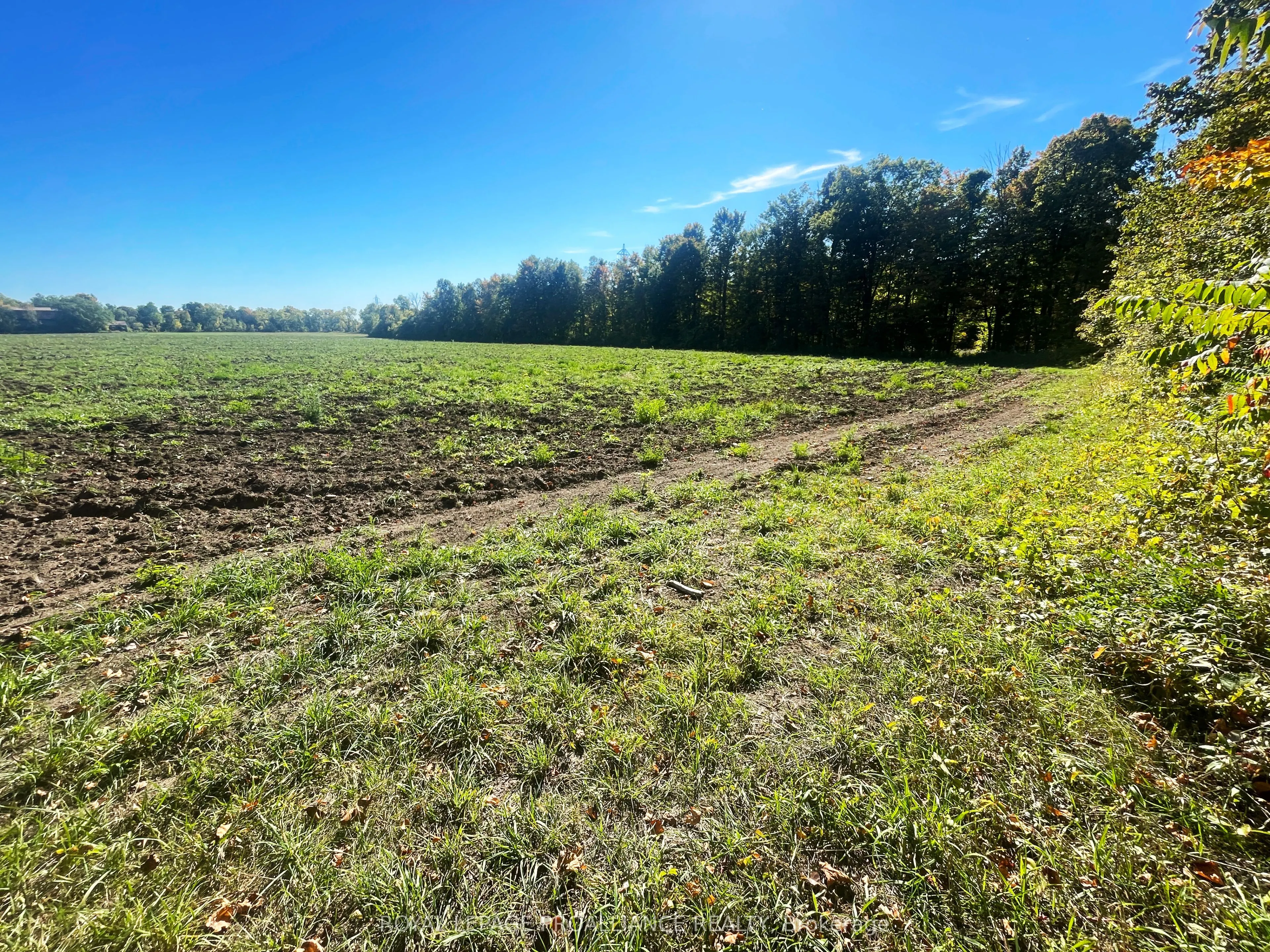 0 Jamieson Road N, #Lot B