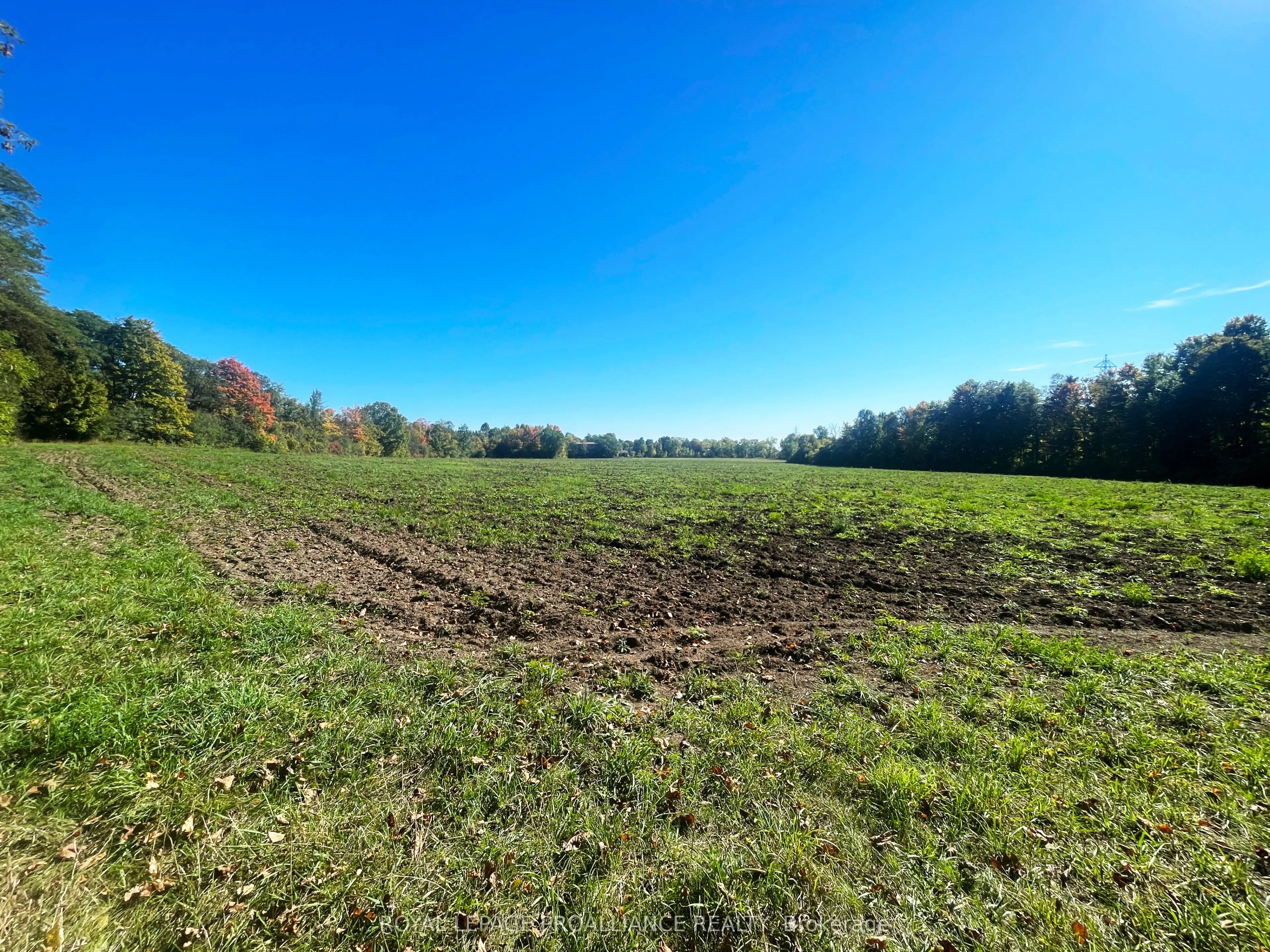 0 Jamieson Road N, #Lot B
