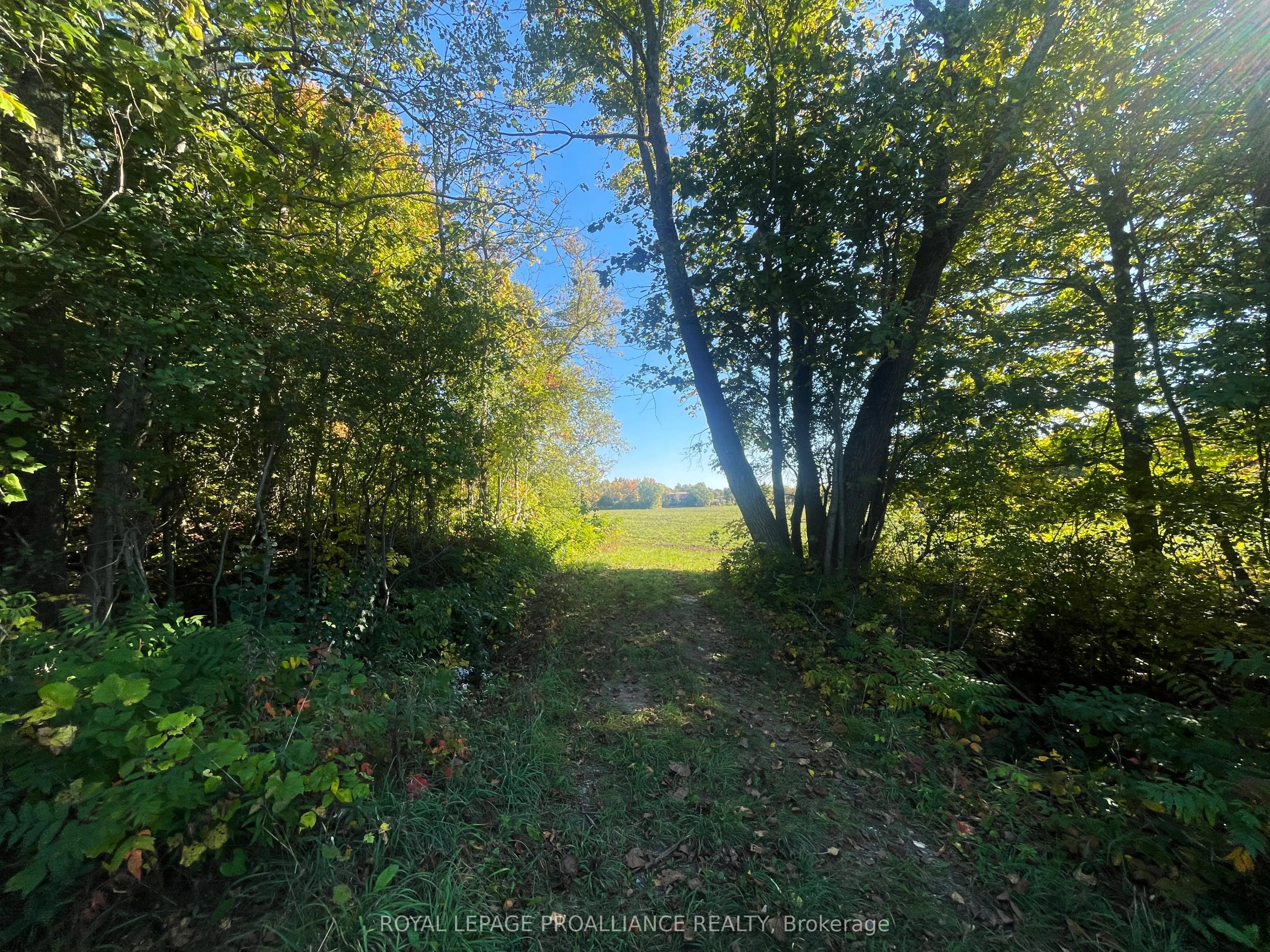 0 Jamieson Road N, #Lot B