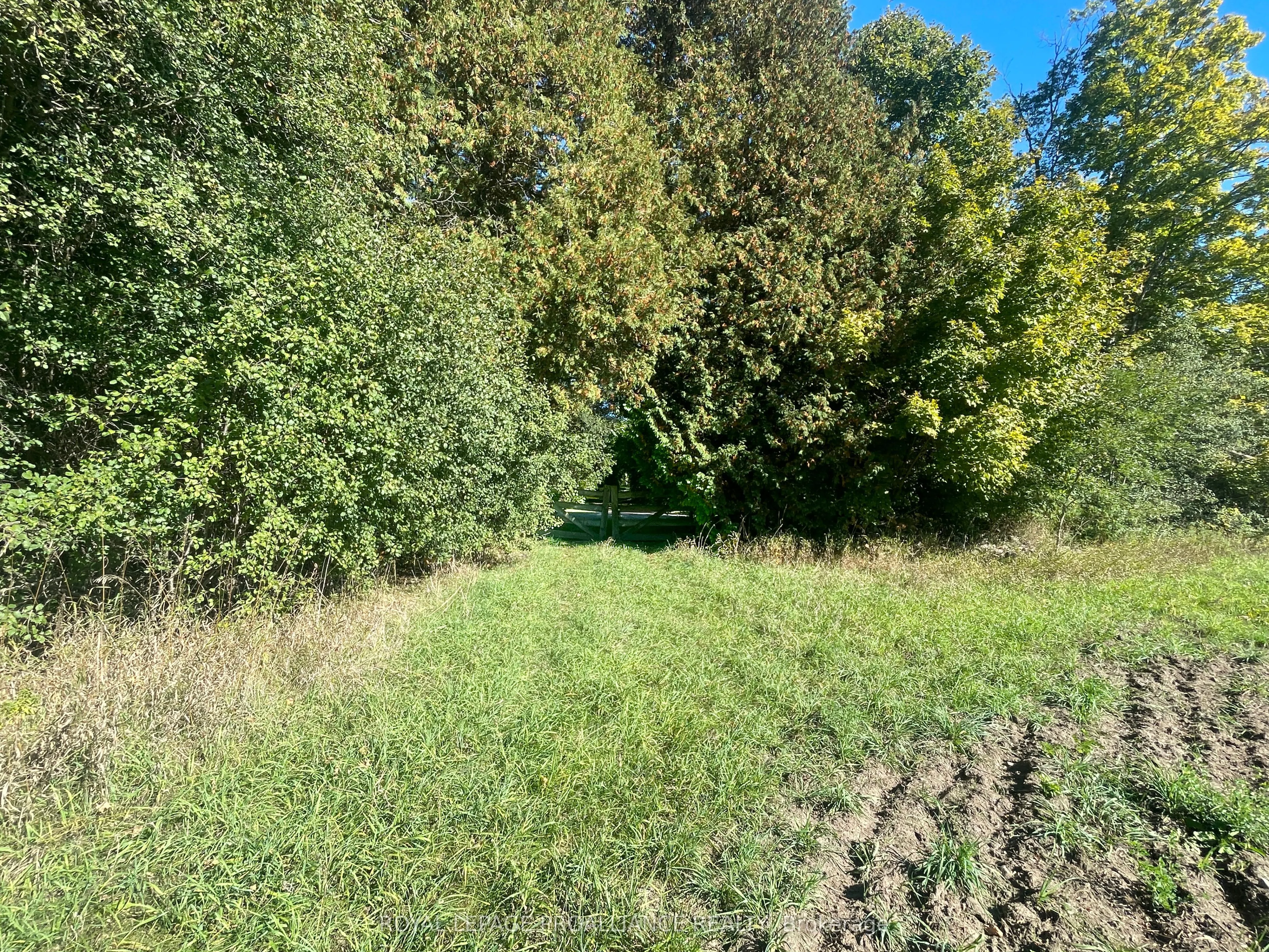0 Jamieson Road N, #Lot B