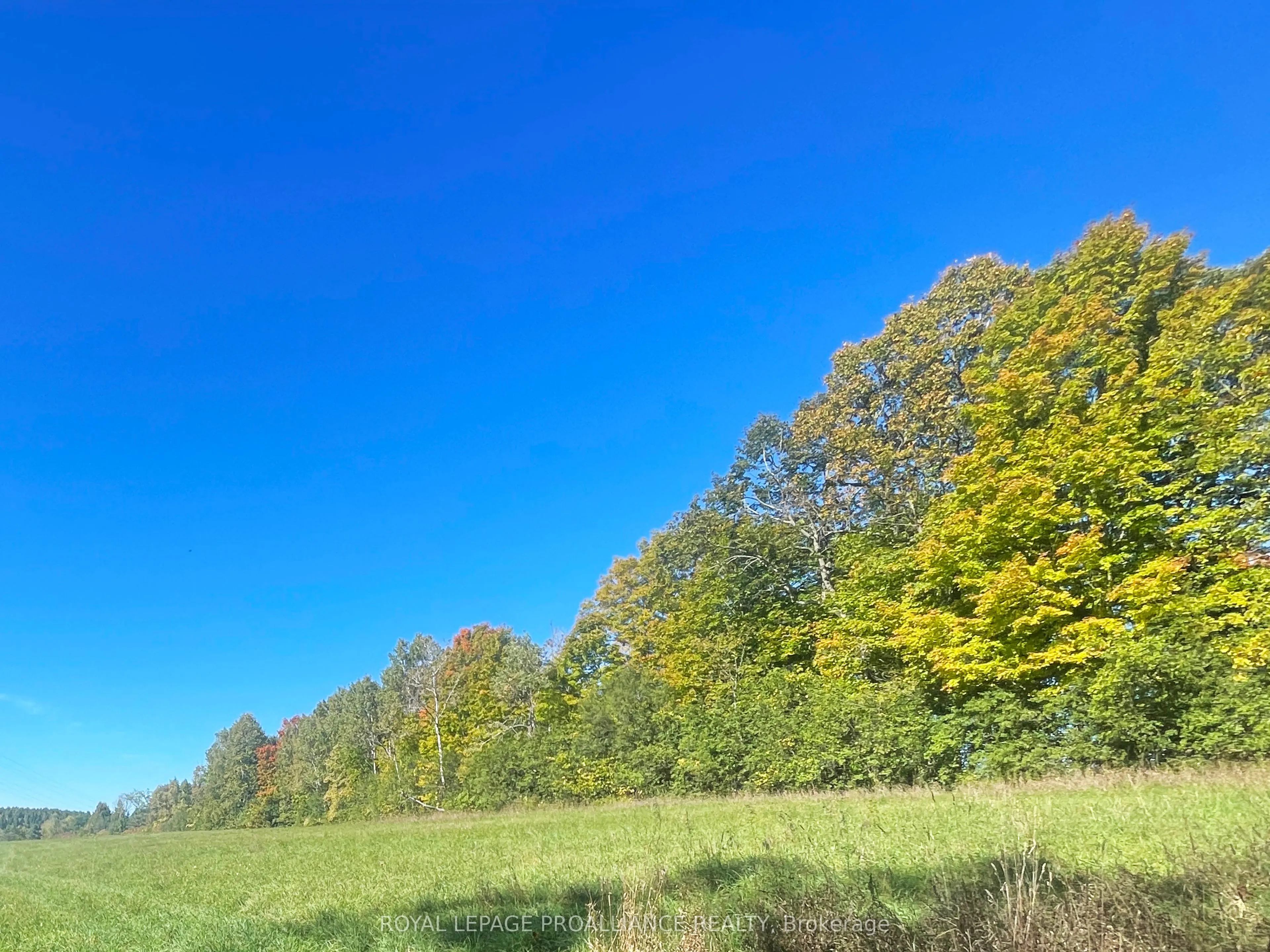 00 Jamieson Road N, #Lot C