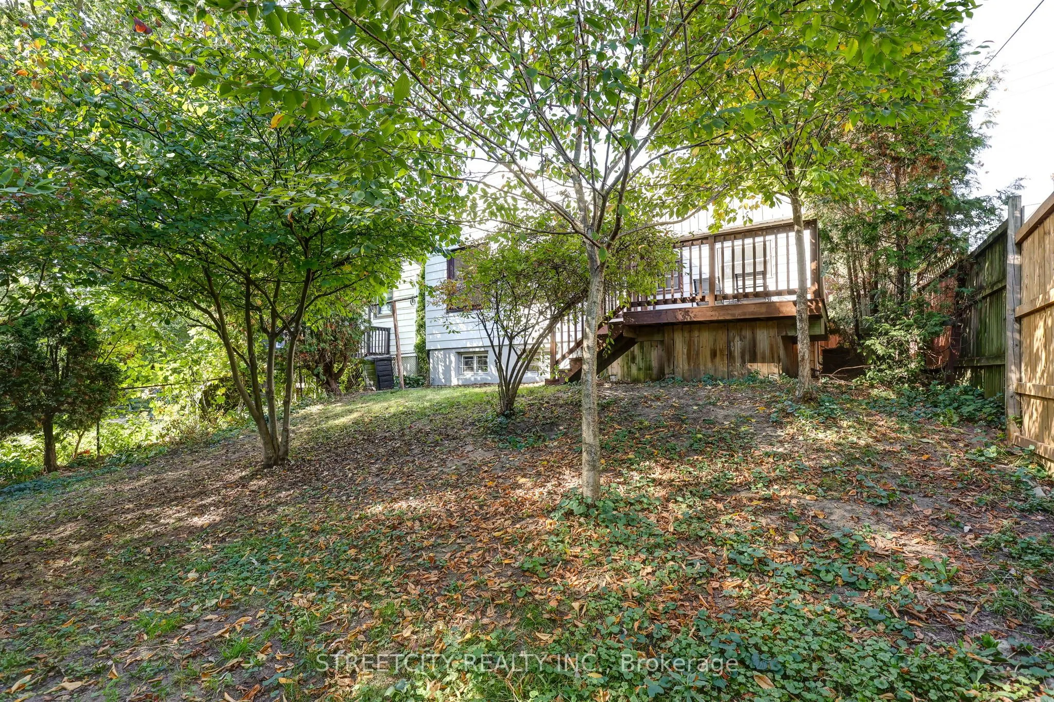 71 Connaught Avenue