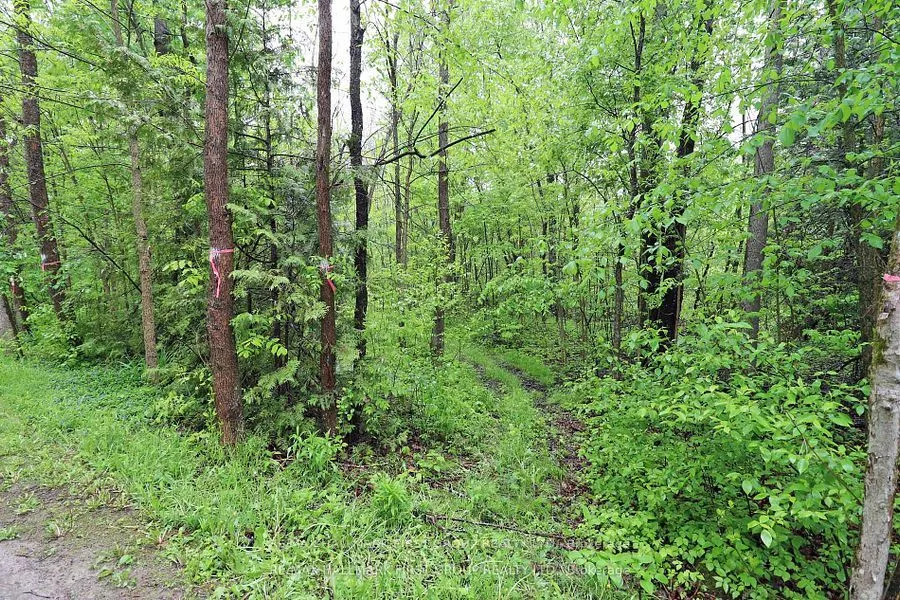 PT 12 Hughes Lane