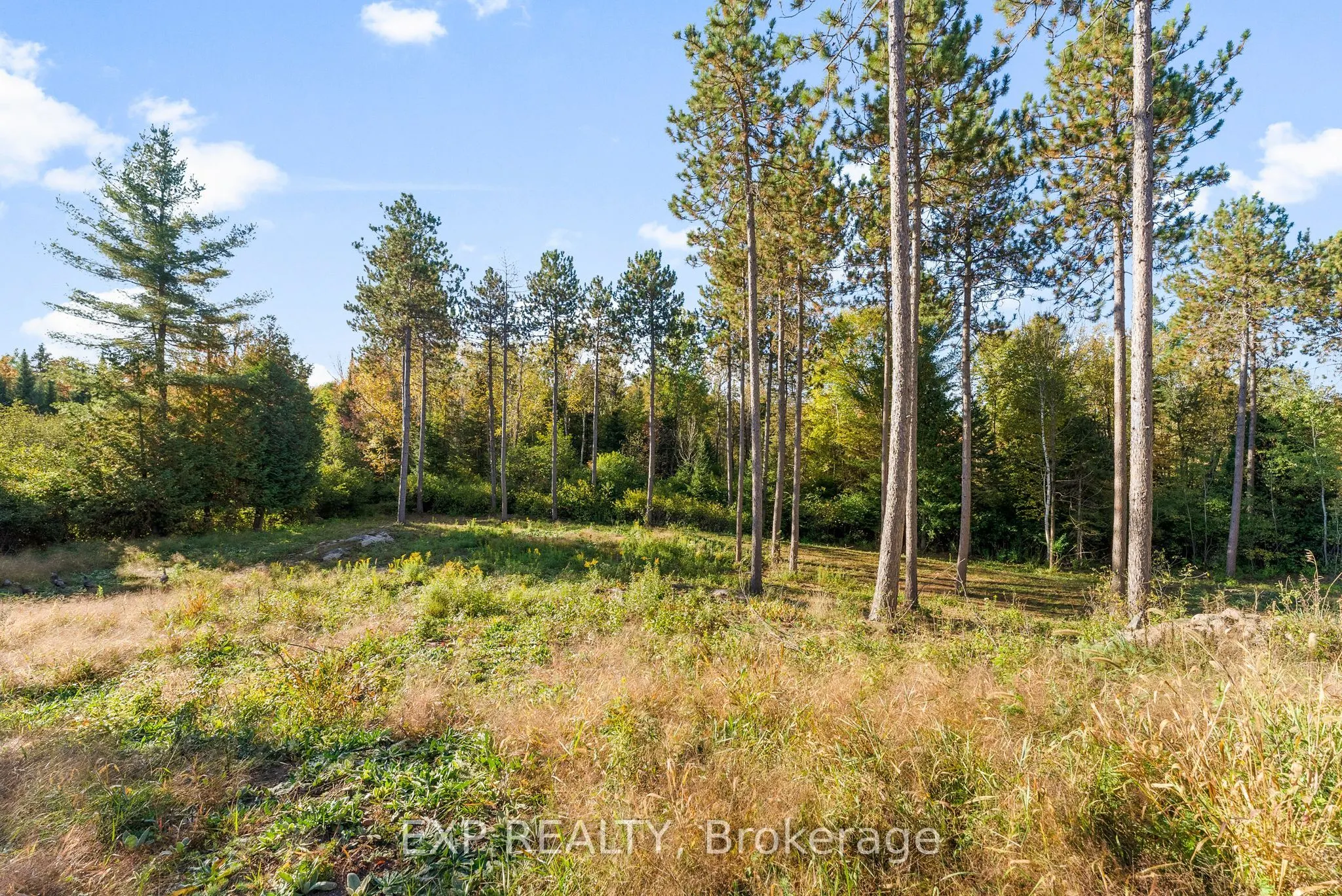 413 Swamp Road