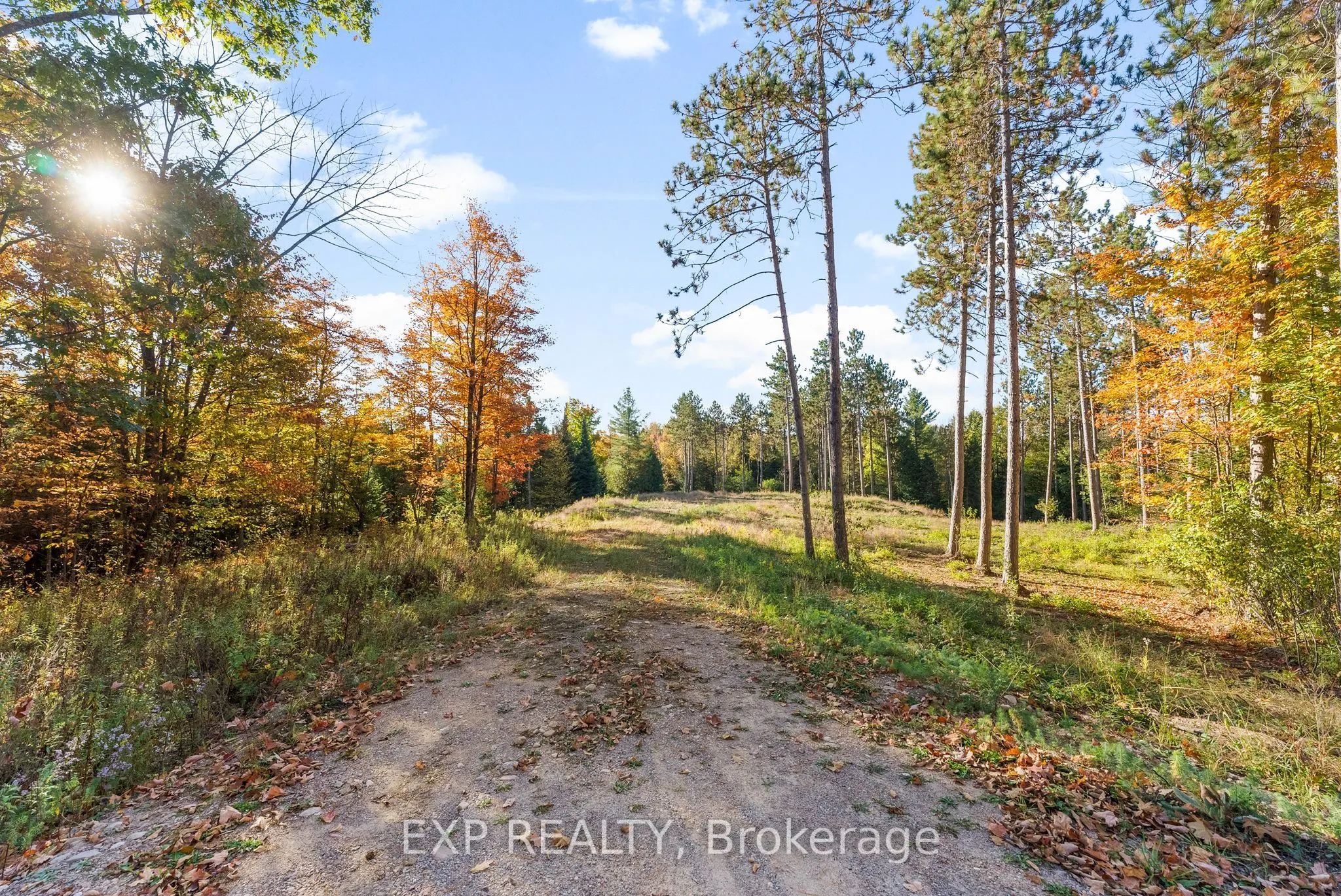 413 Swamp Road