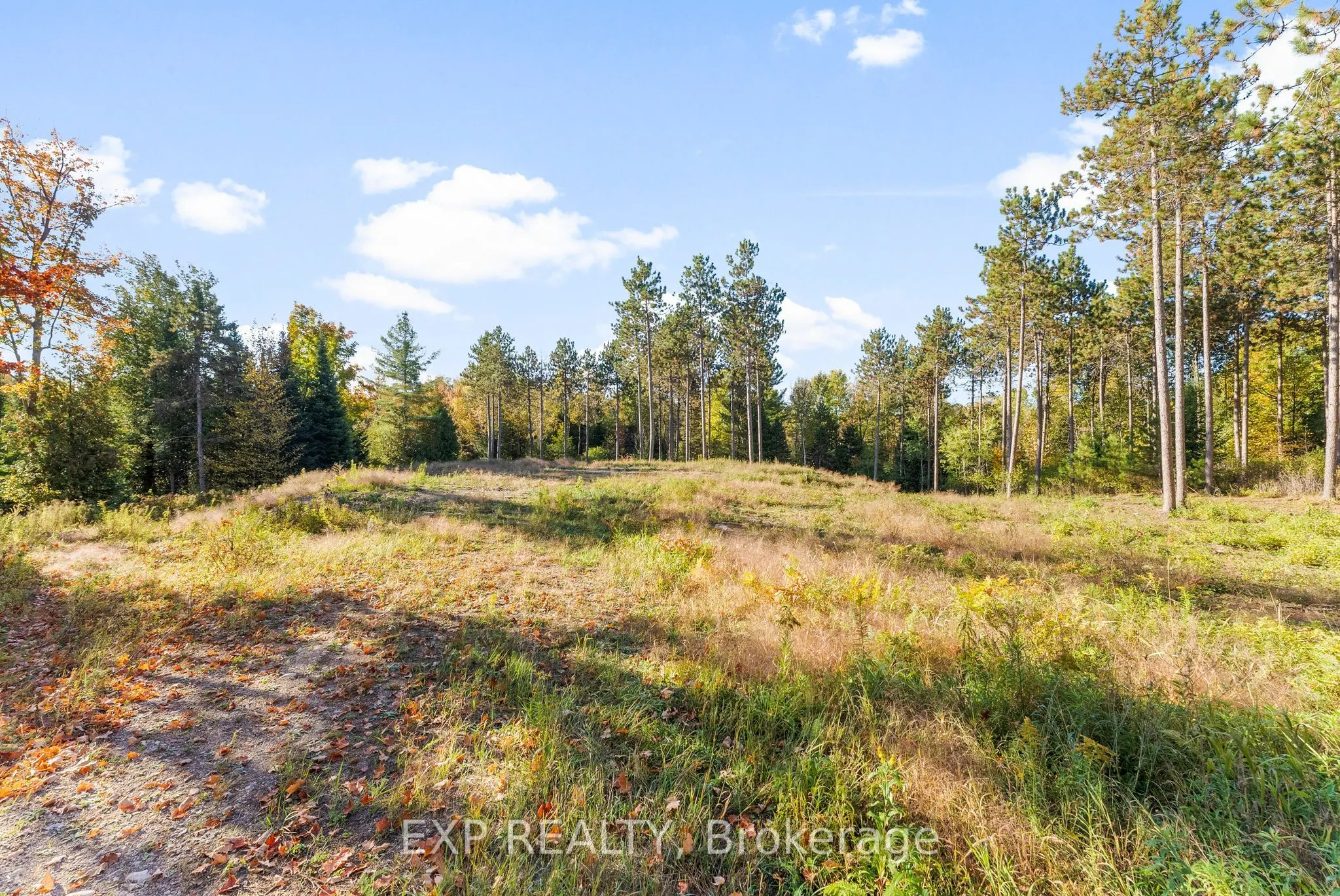 413 Swamp Road