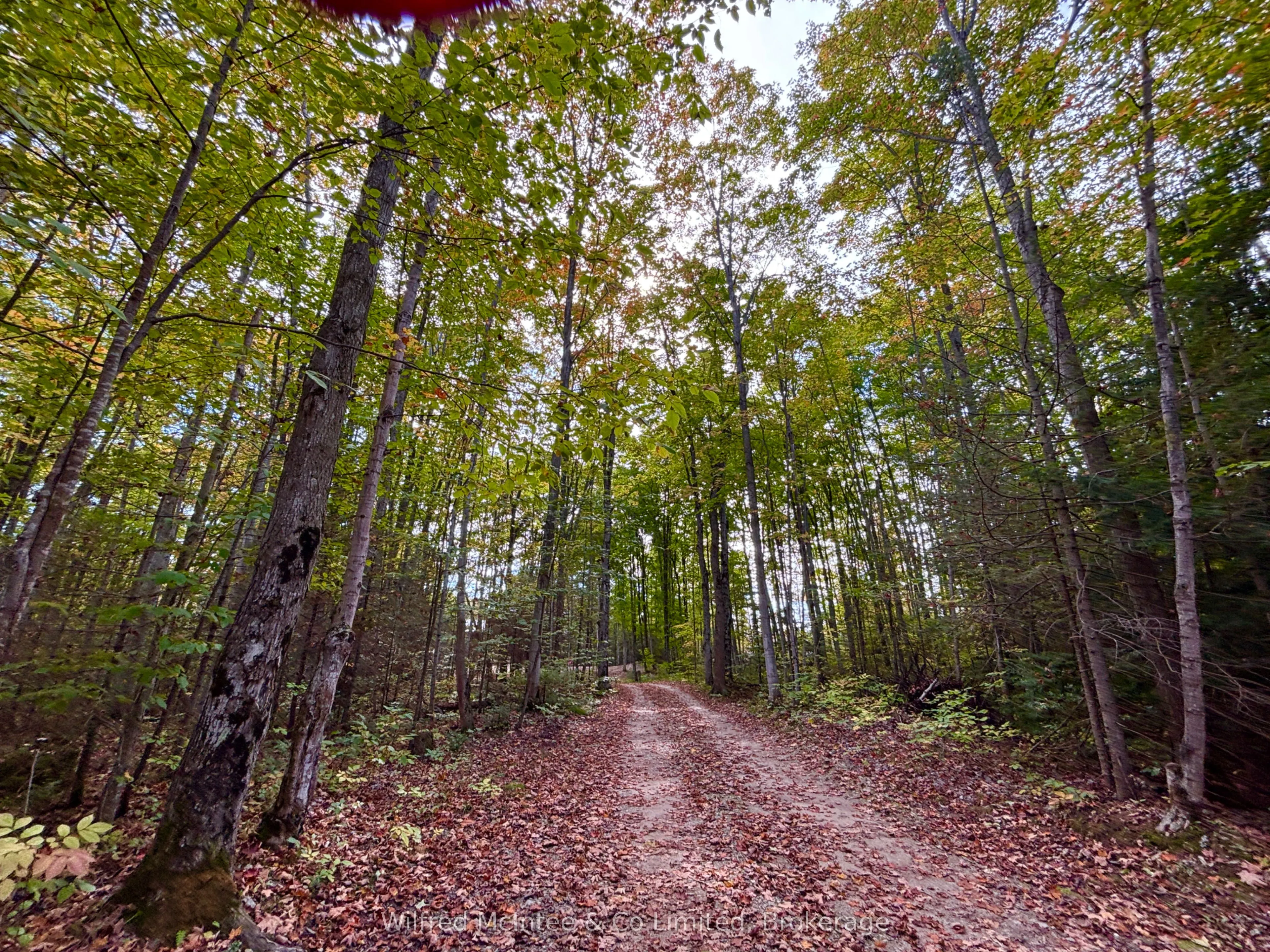 78 Indian Trail