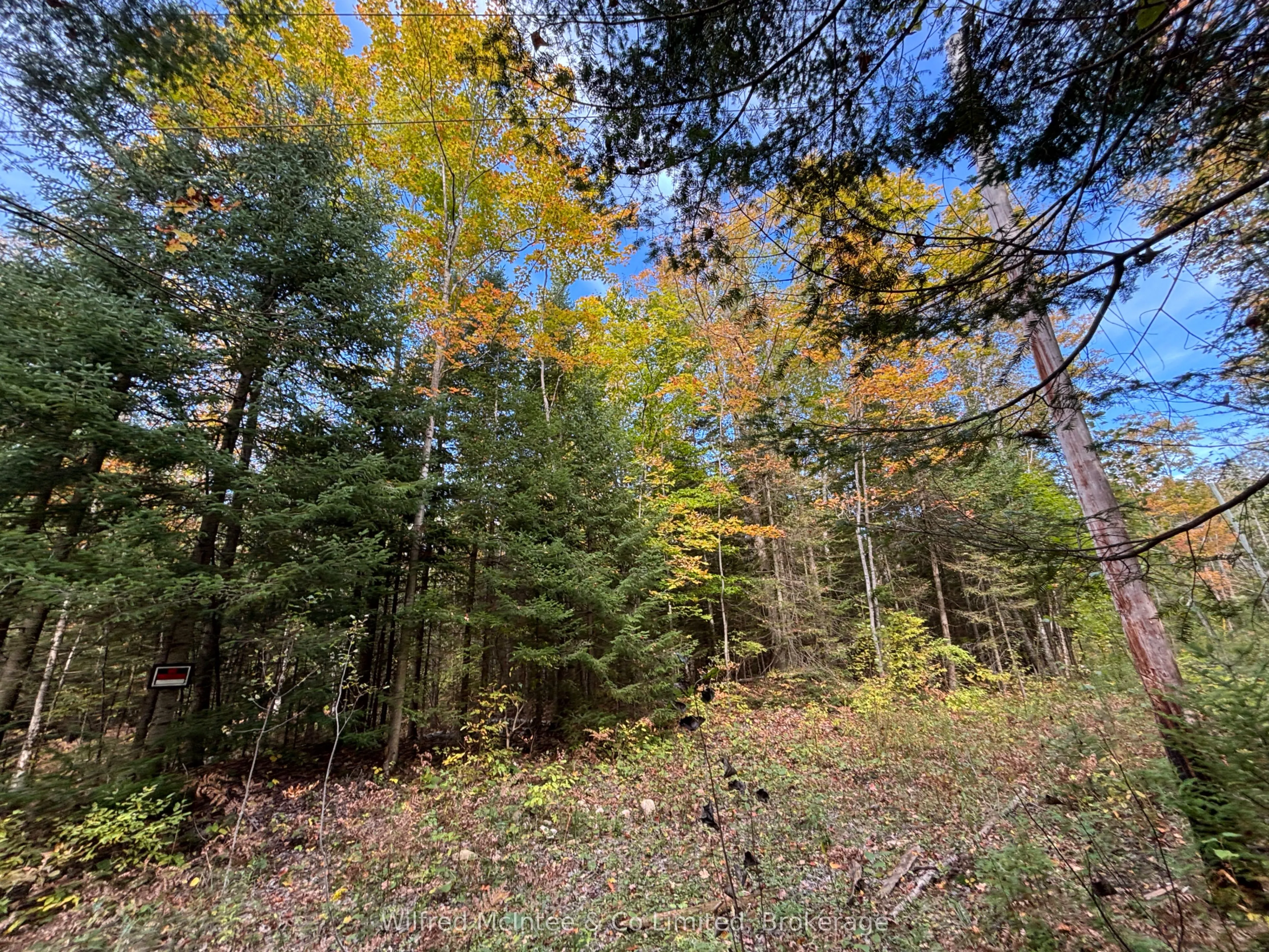 78 Indian Trail