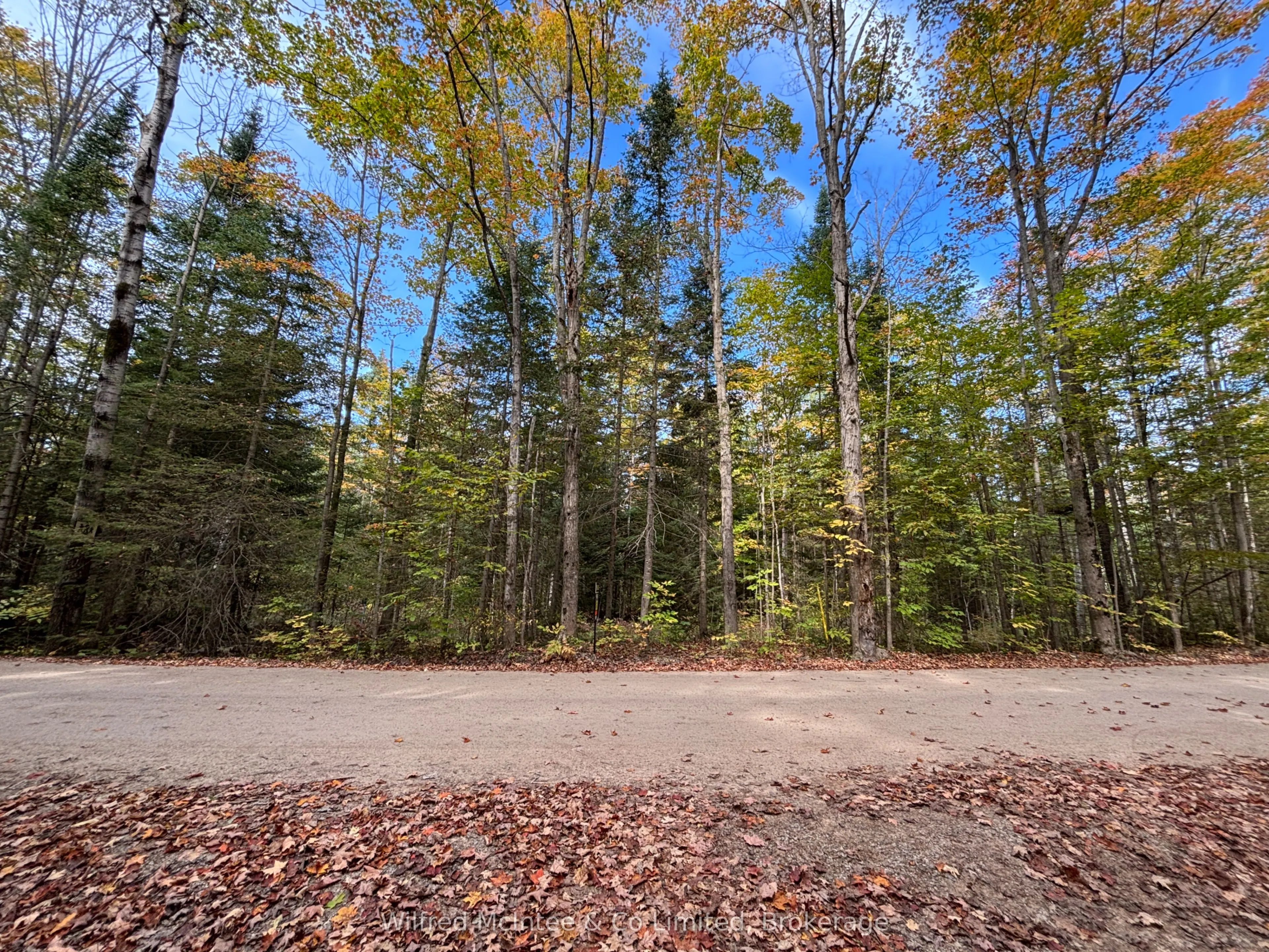 78 Indian Trail