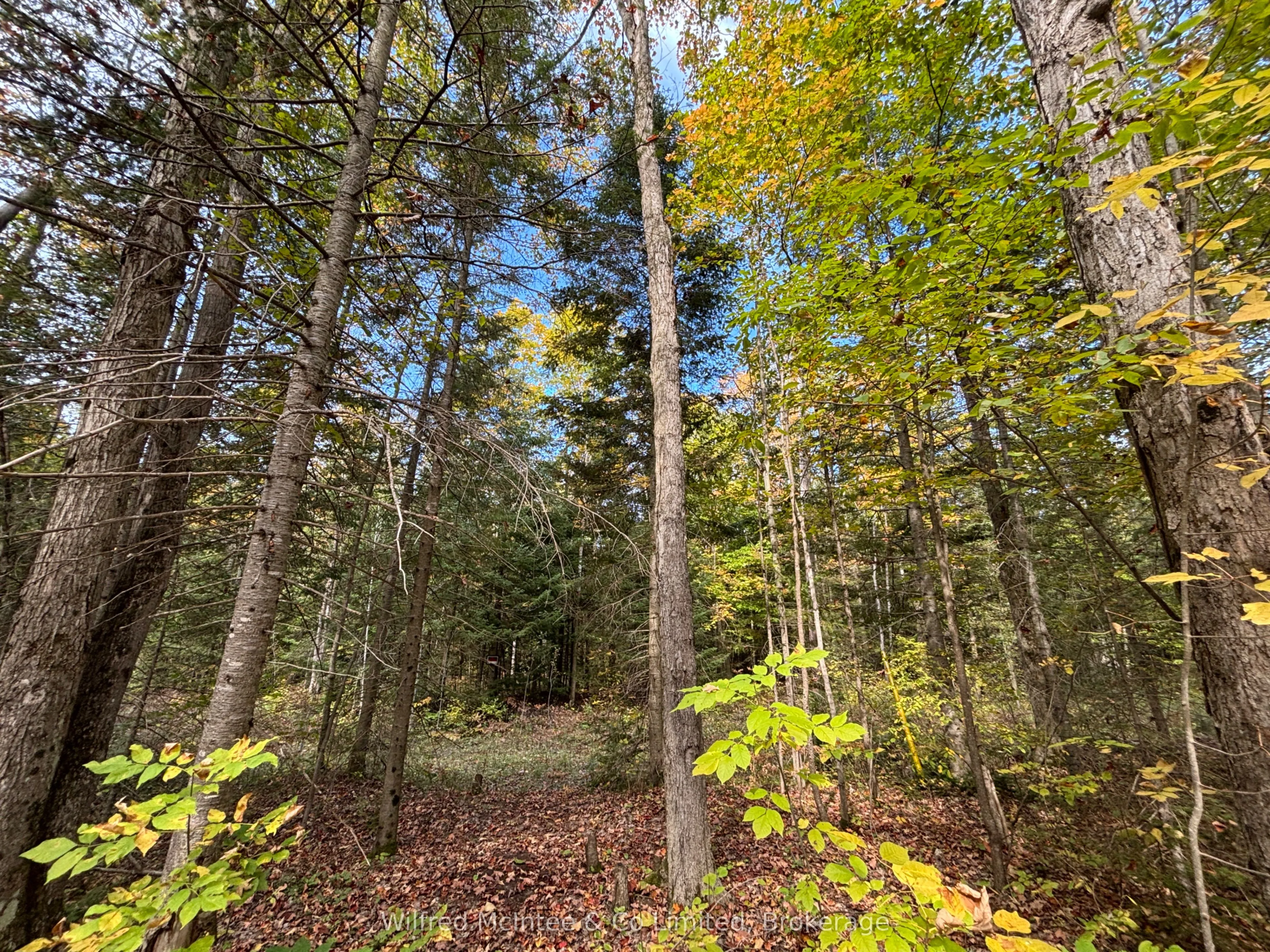78 Indian Trail