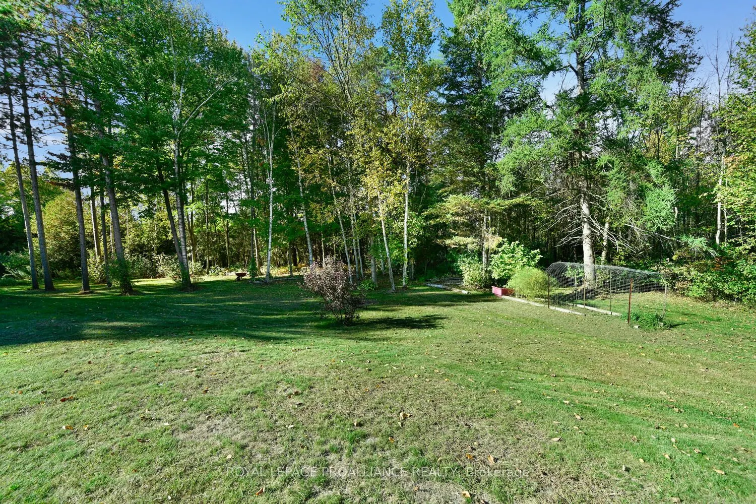 9118 County 44 Road