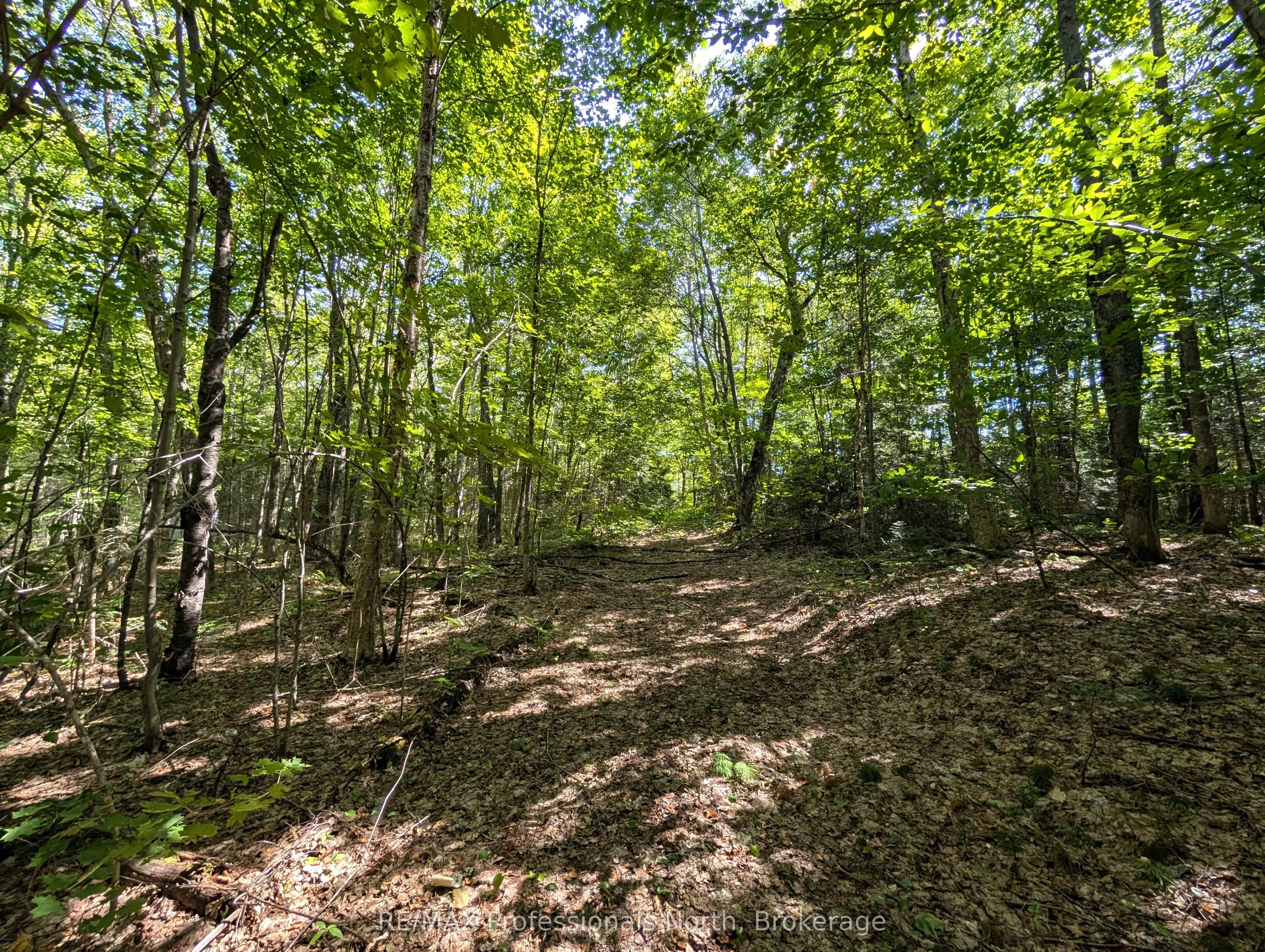 611 Bray Lake Road