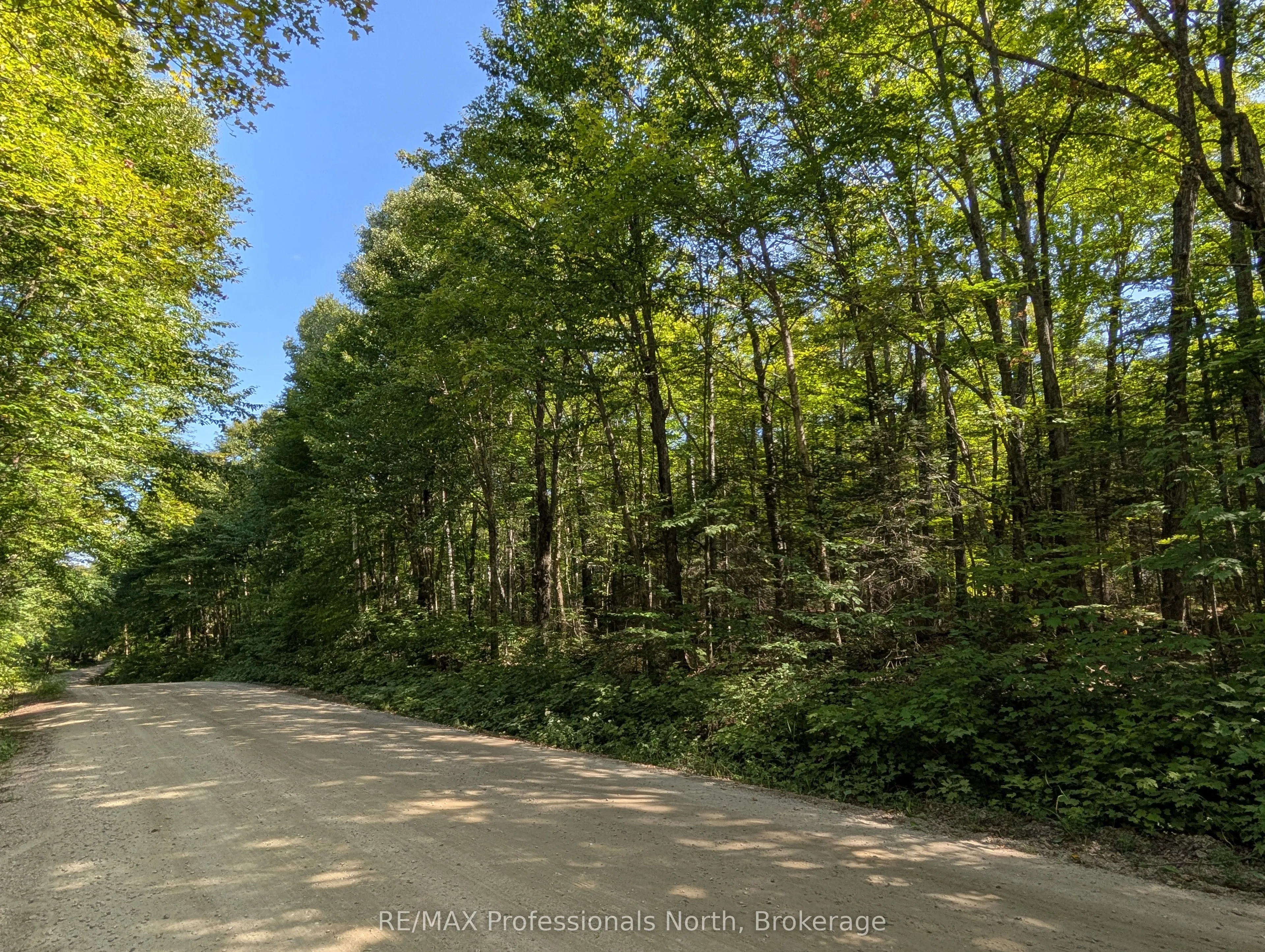 611 Bray Lake Road
