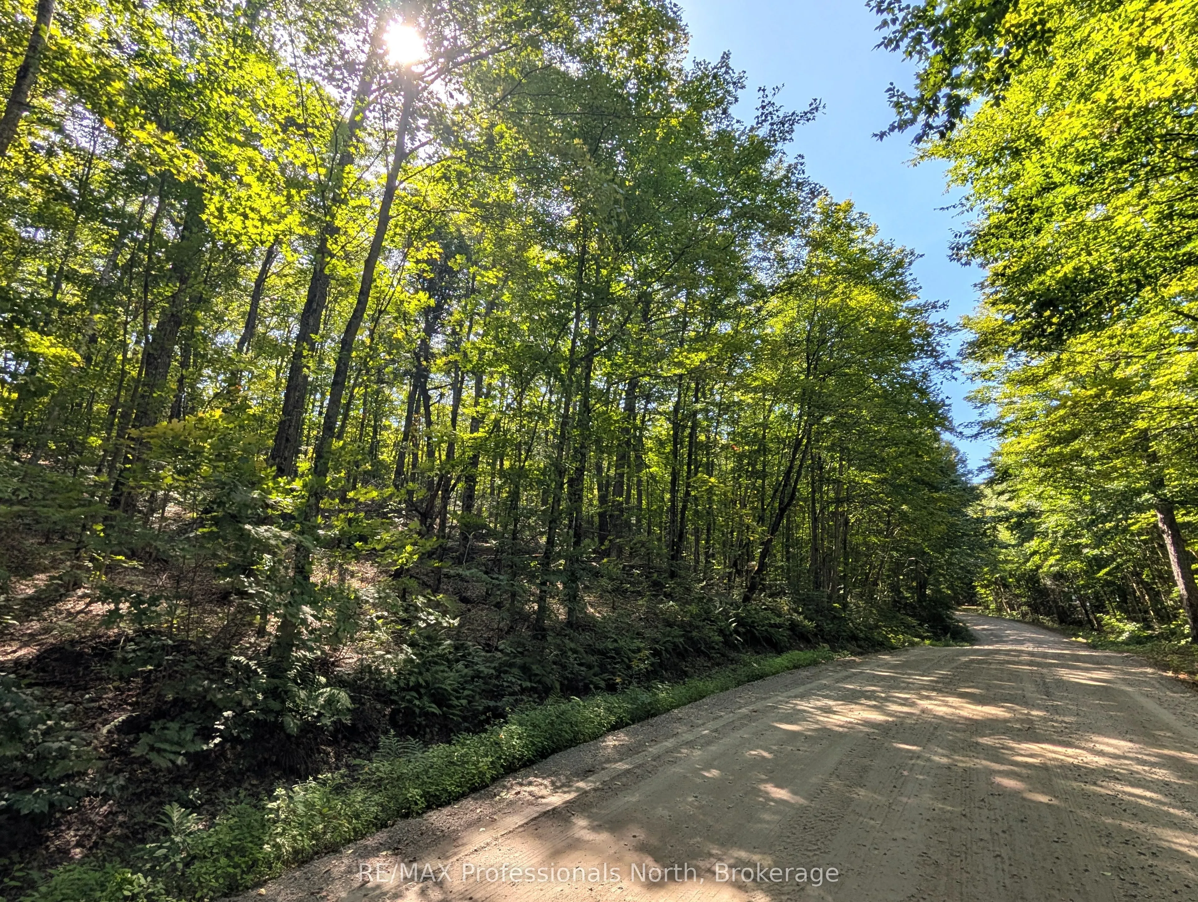 611 Bray Lake Road