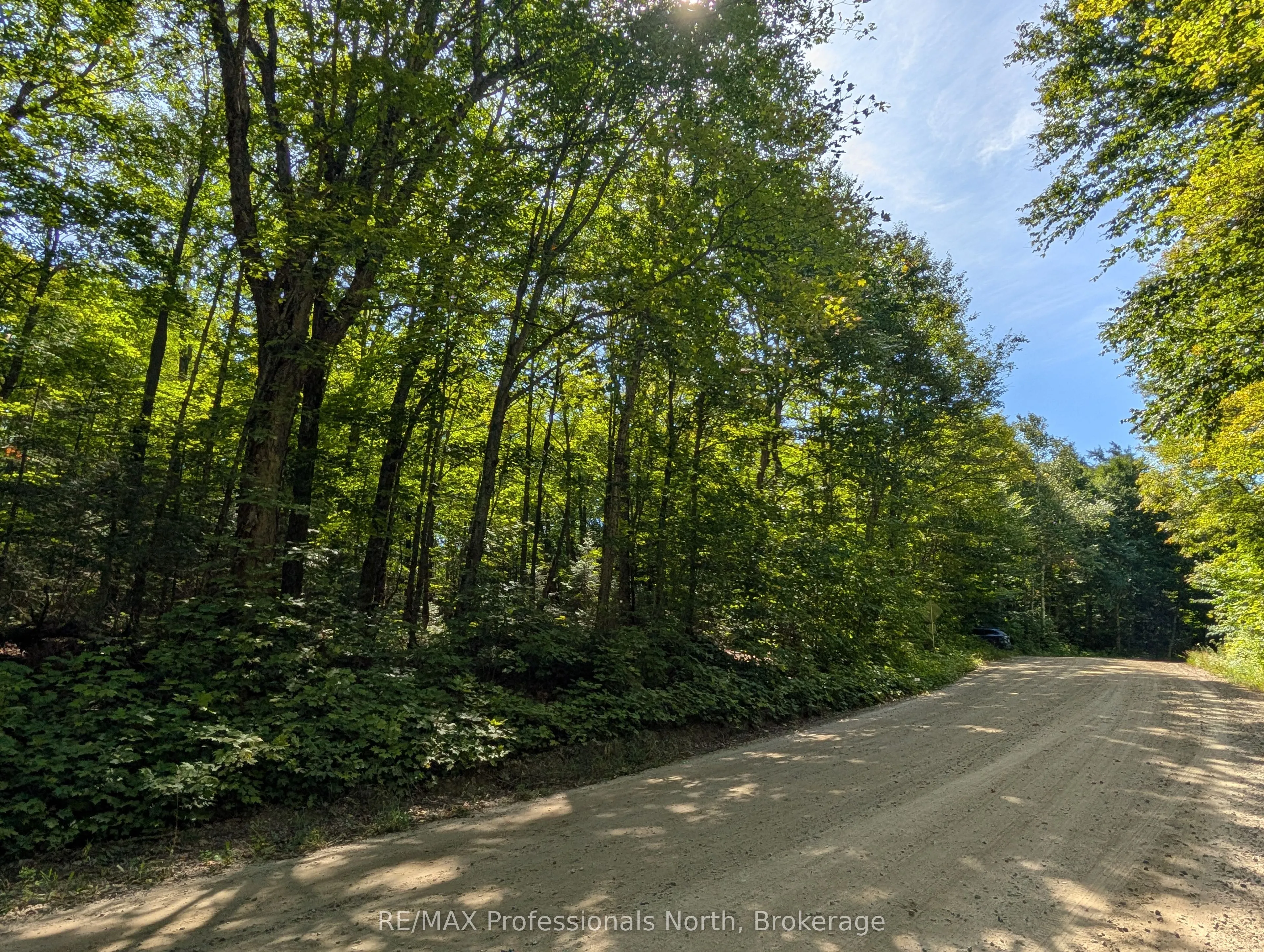 611 Bray Lake Road