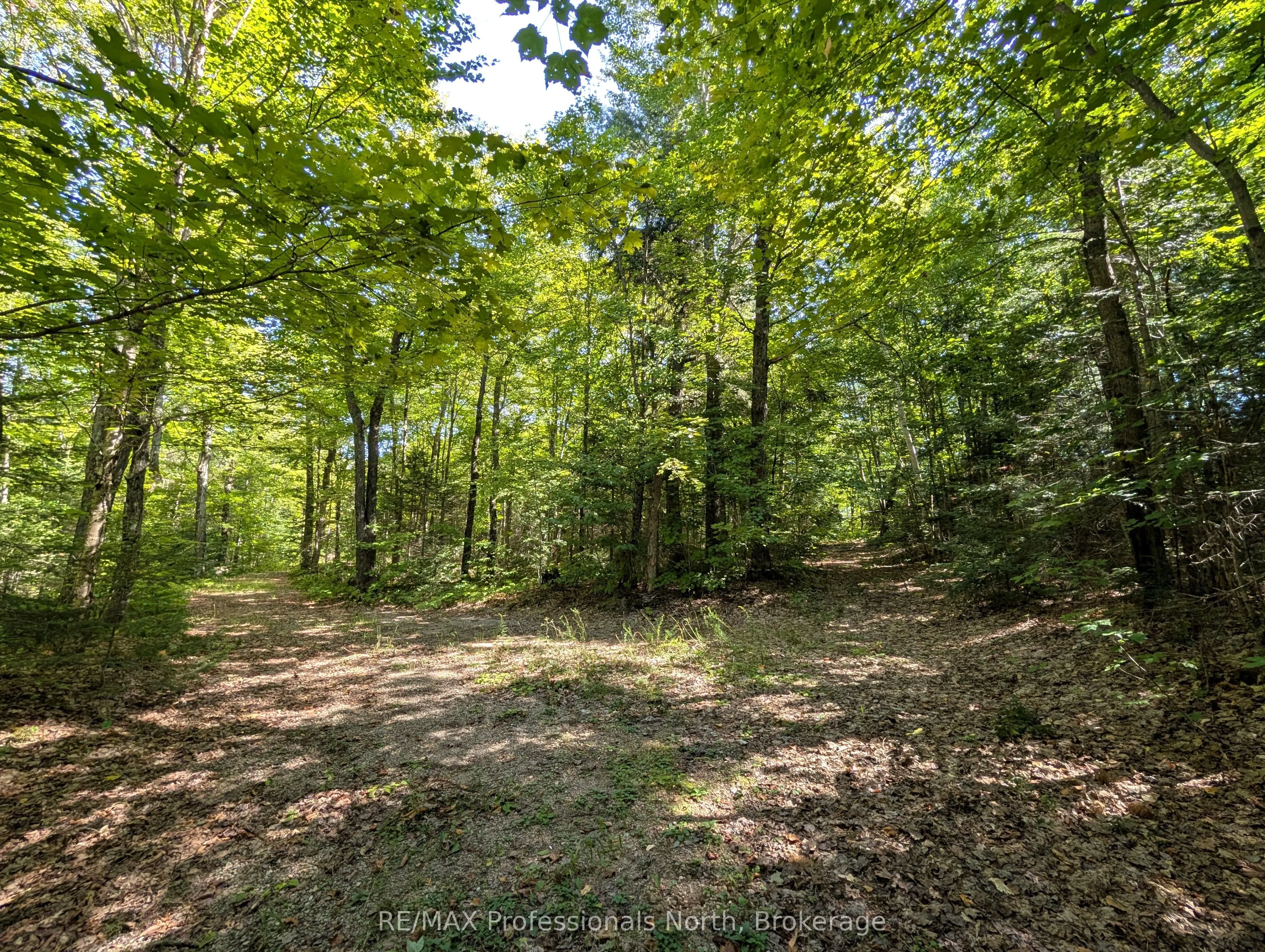 611 Bray Lake Road