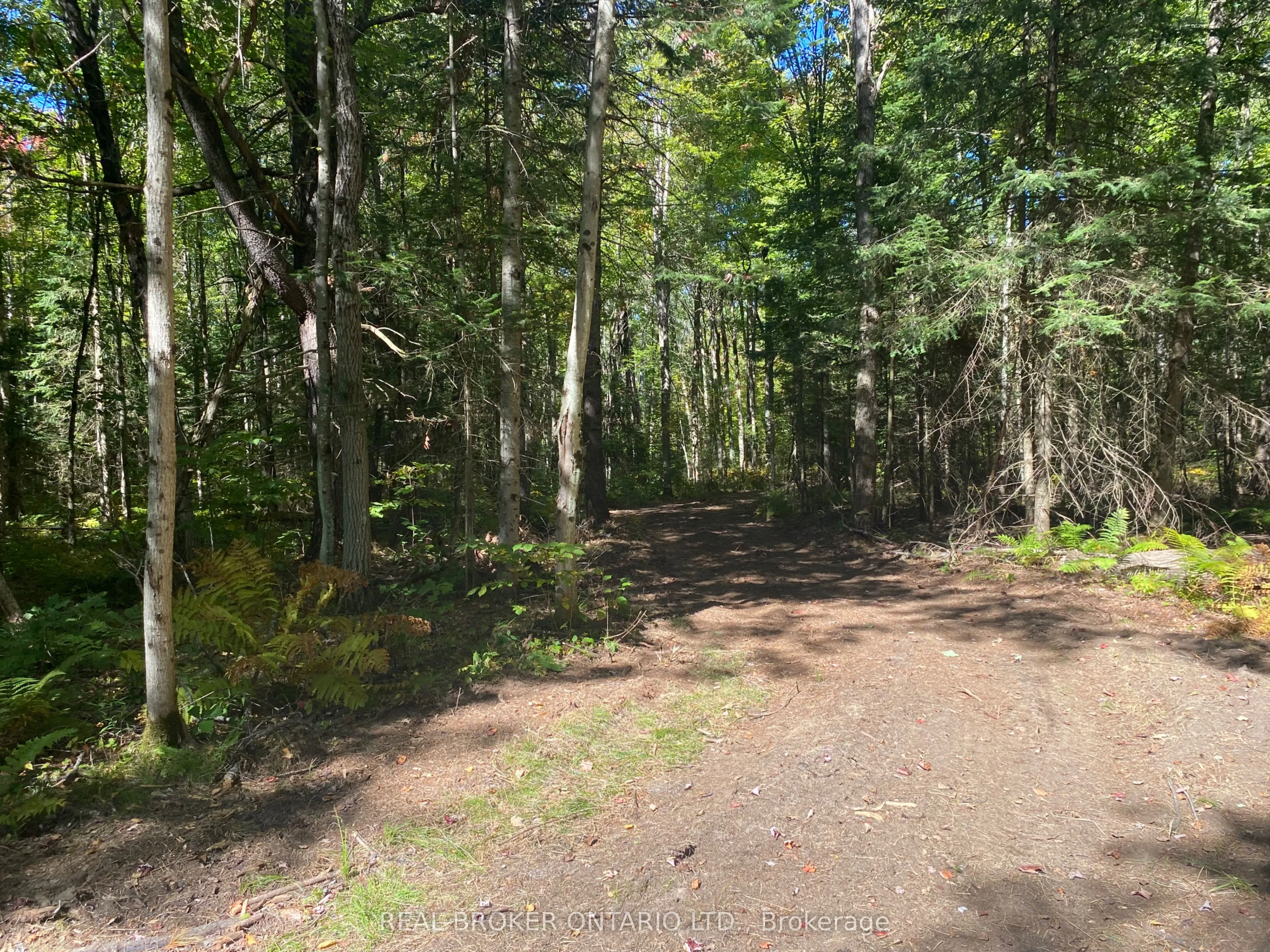 1248 Beiers Road