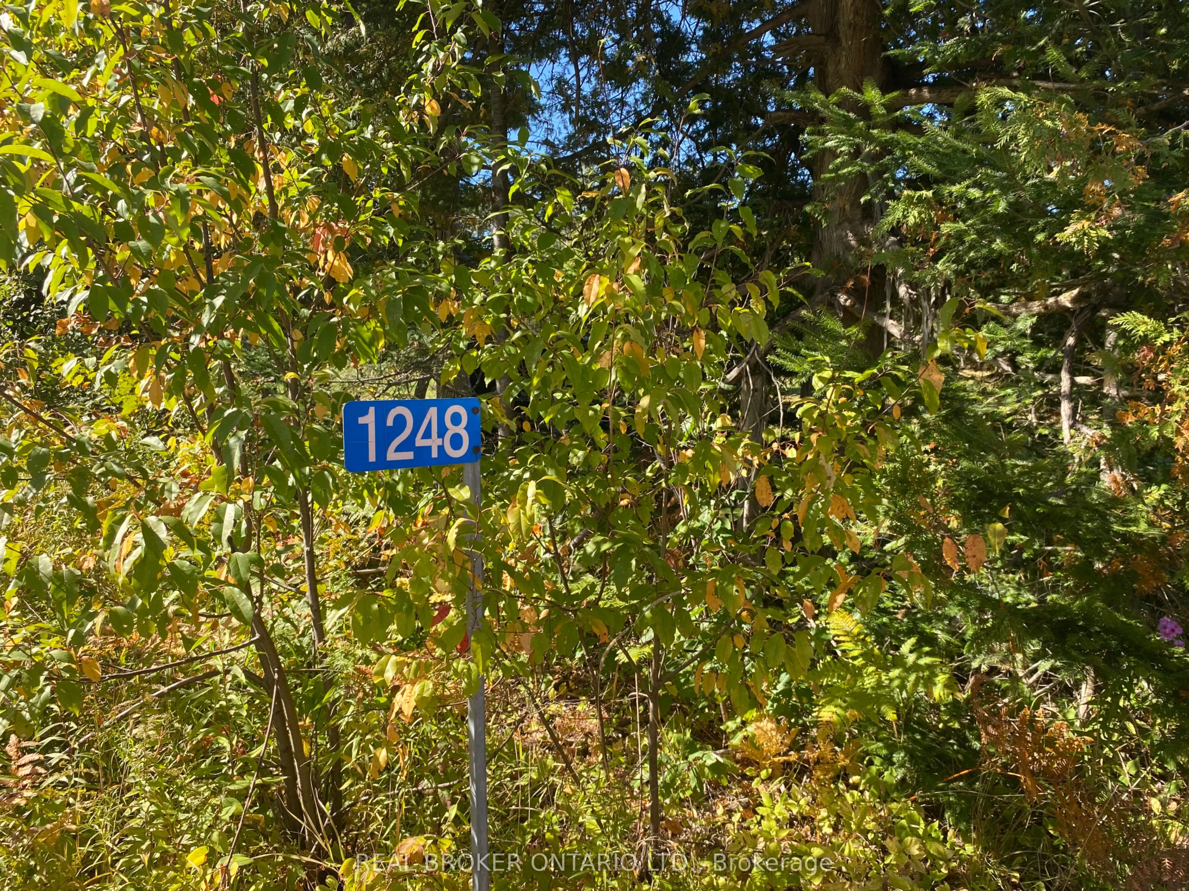 1248 Beiers Road