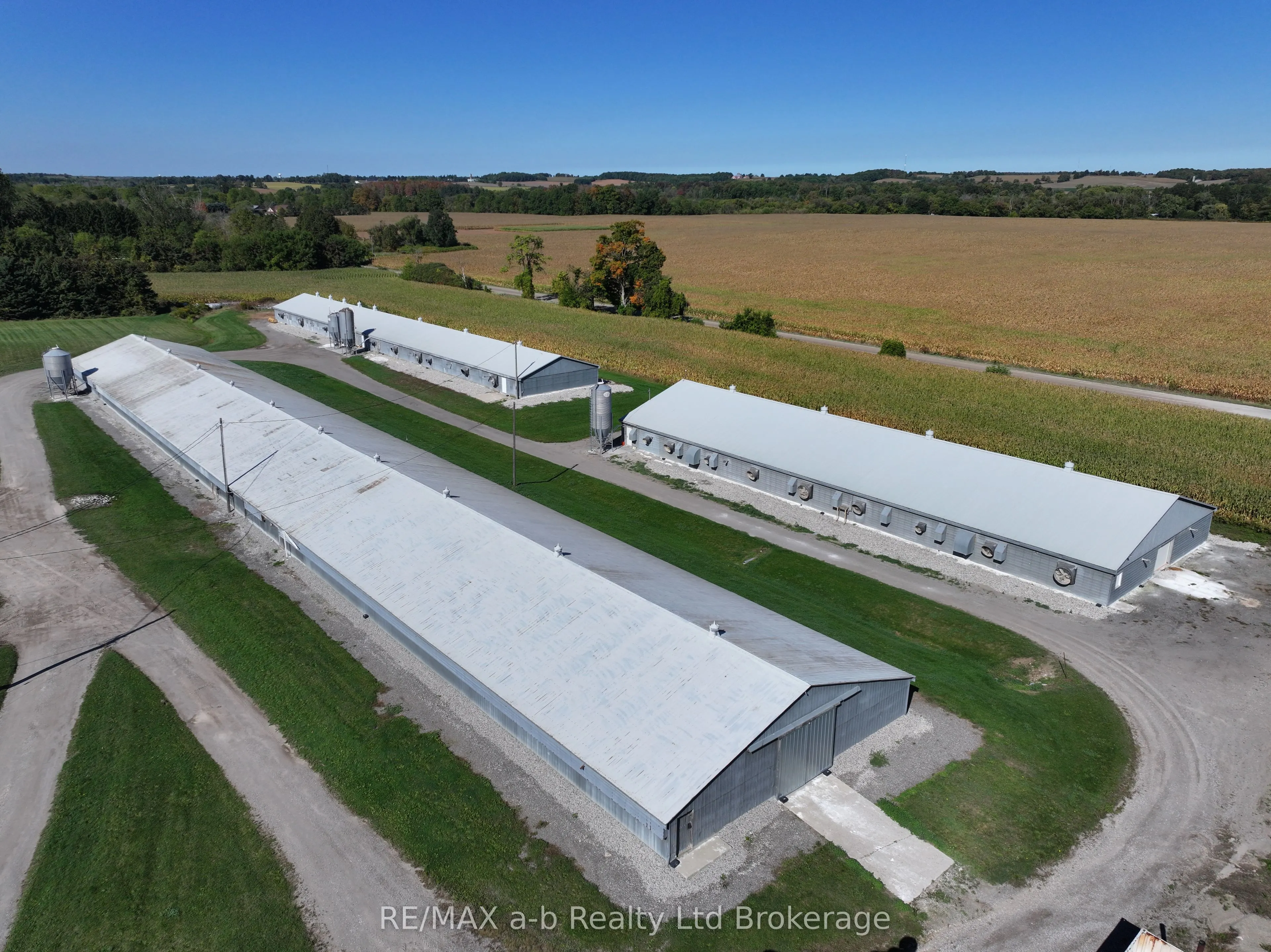 936549 Blenheim Road