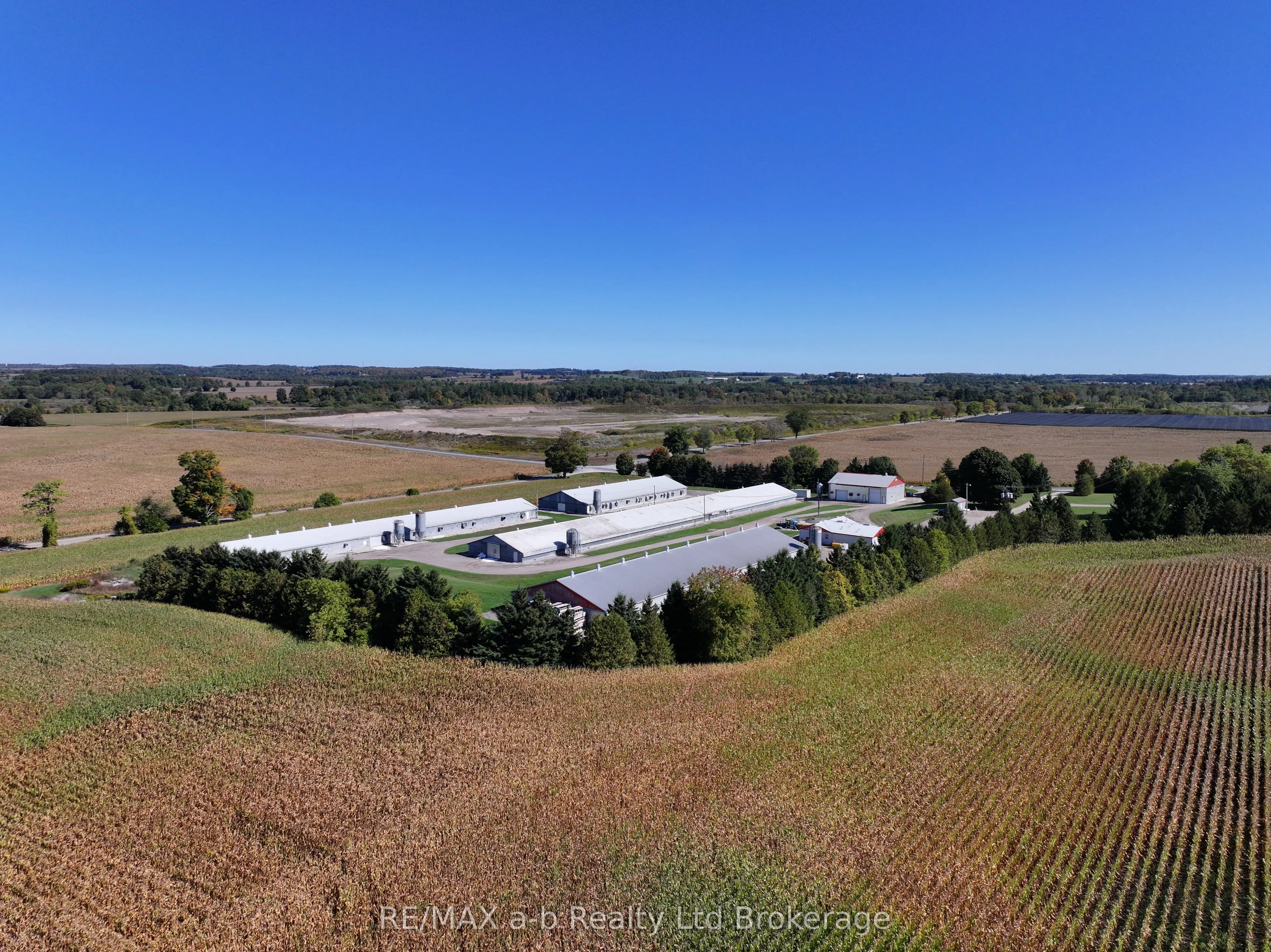 936549 Blenheim Road