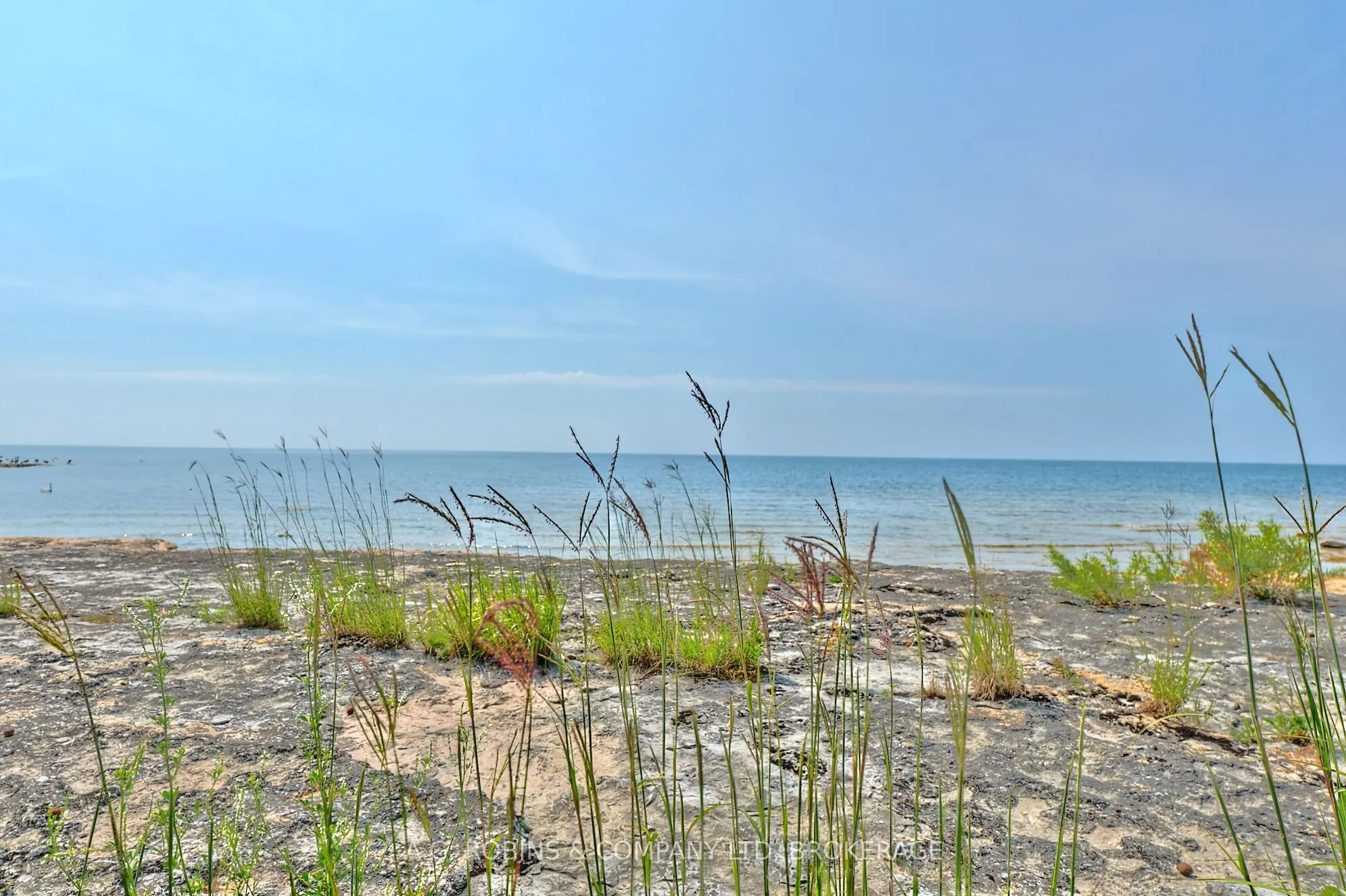 10773 Lakeshore Road