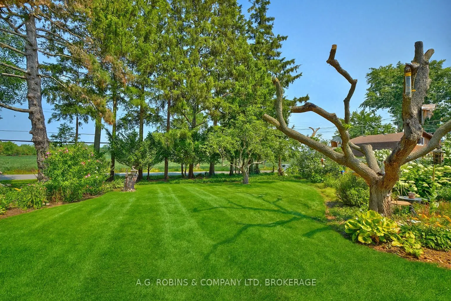 10773 Lakeshore Road