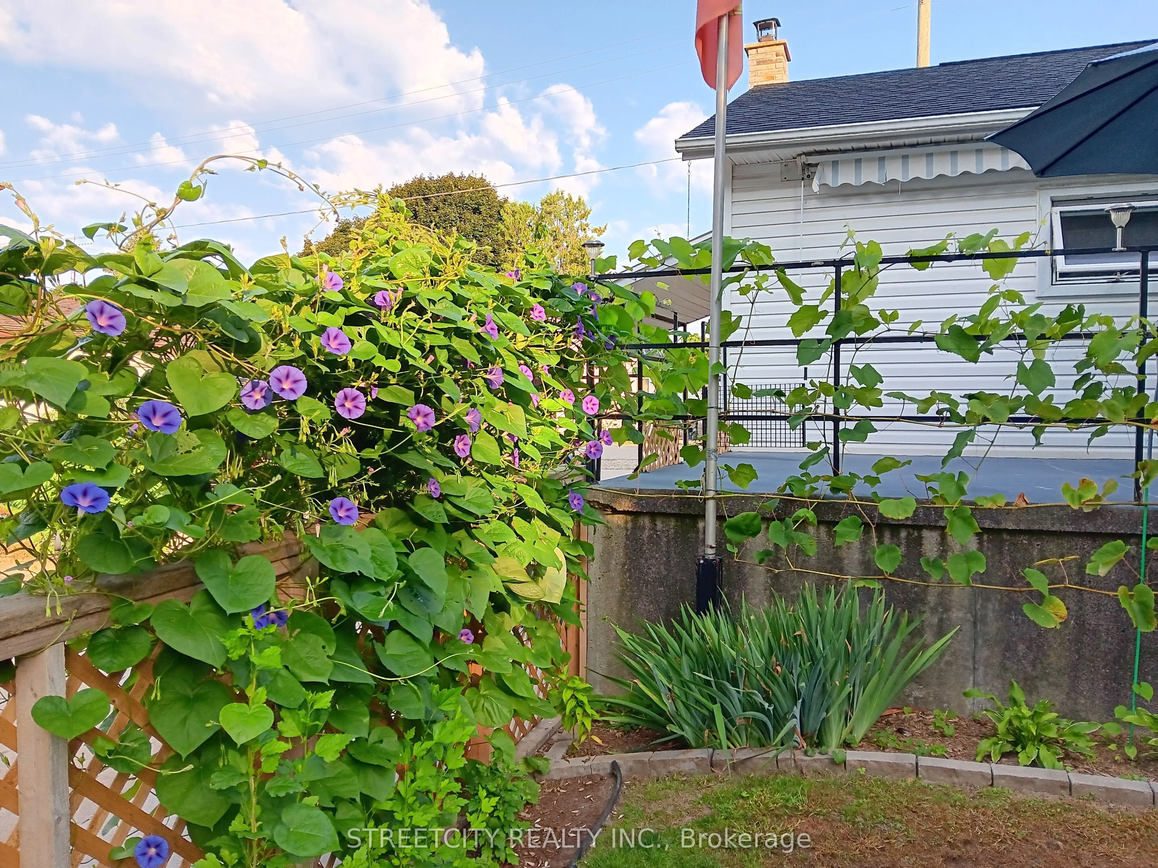 156 Maple Street